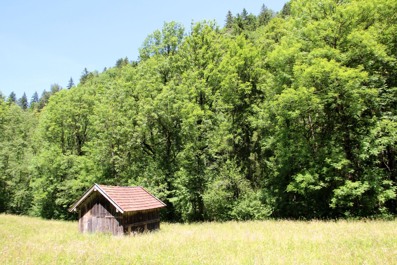 Canon EOS 600D (Rebel EOS T3i / EOS Kiss X5) sample photo. Woodhouse, log cabin, nature photography