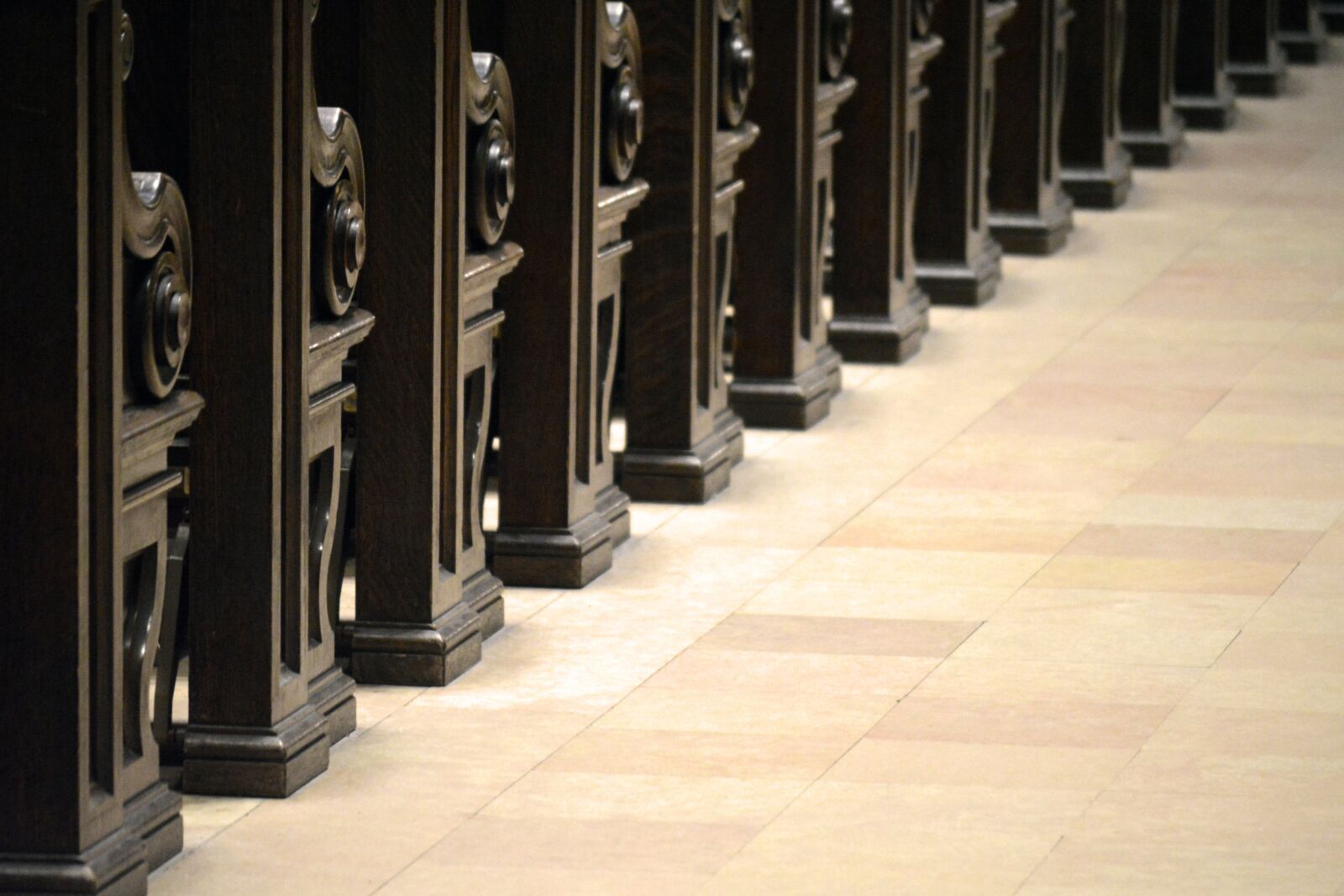 Nikon D3200 sample photo