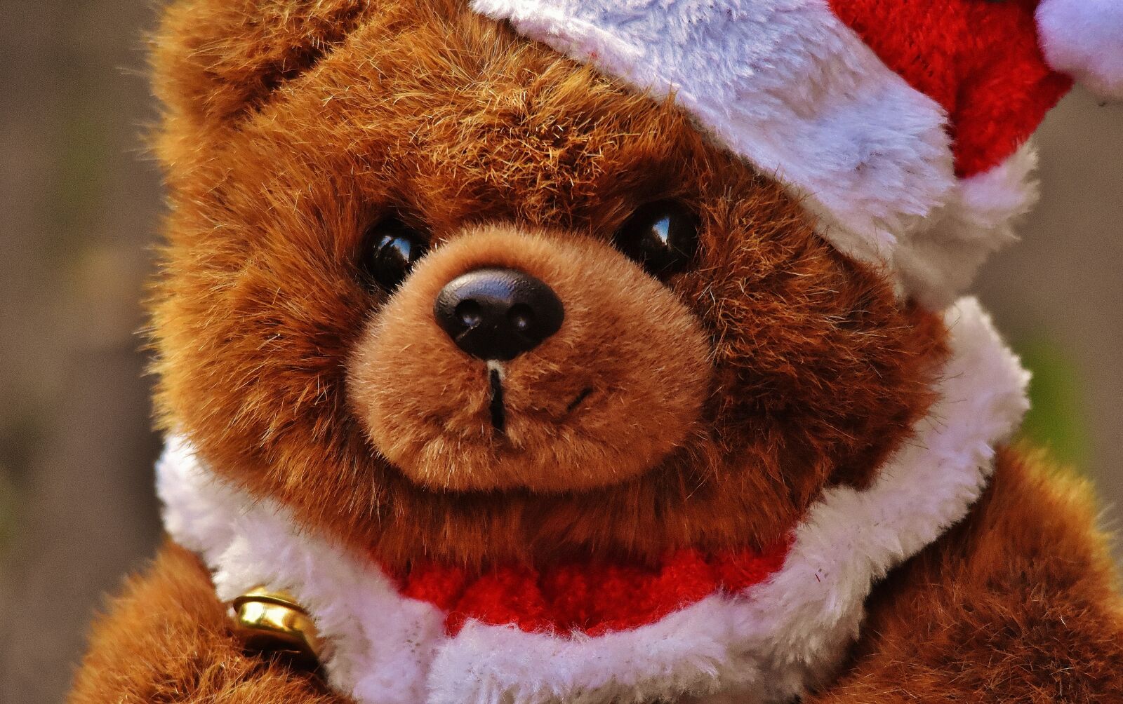 Nikon D7200 sample photo. Christmas, greeting card, teddy photography
