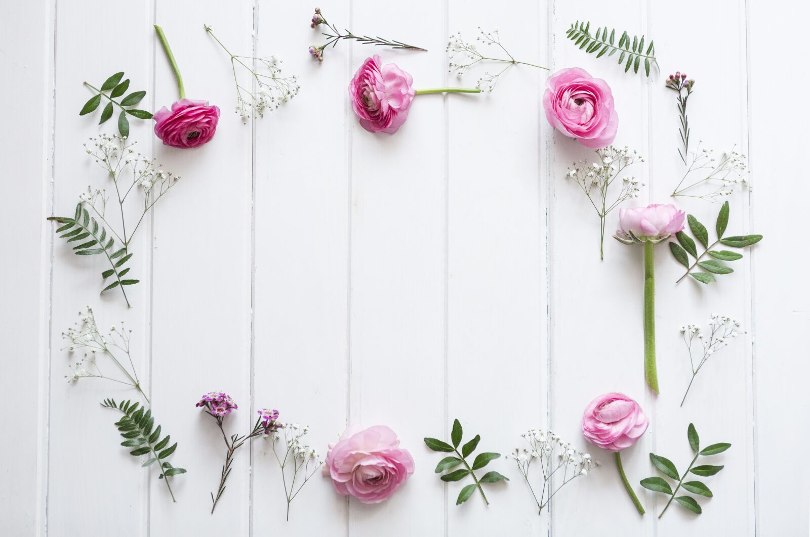 Canon EF 24-70mm F2.8L USM sample photo. Flowers, background, nature photography