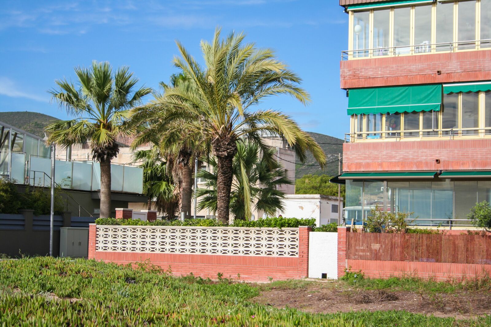 Canon EOS 350D (EOS Digital Rebel XT / EOS Kiss Digital N) sample photo. Palm trees, architecture, holidays photography
