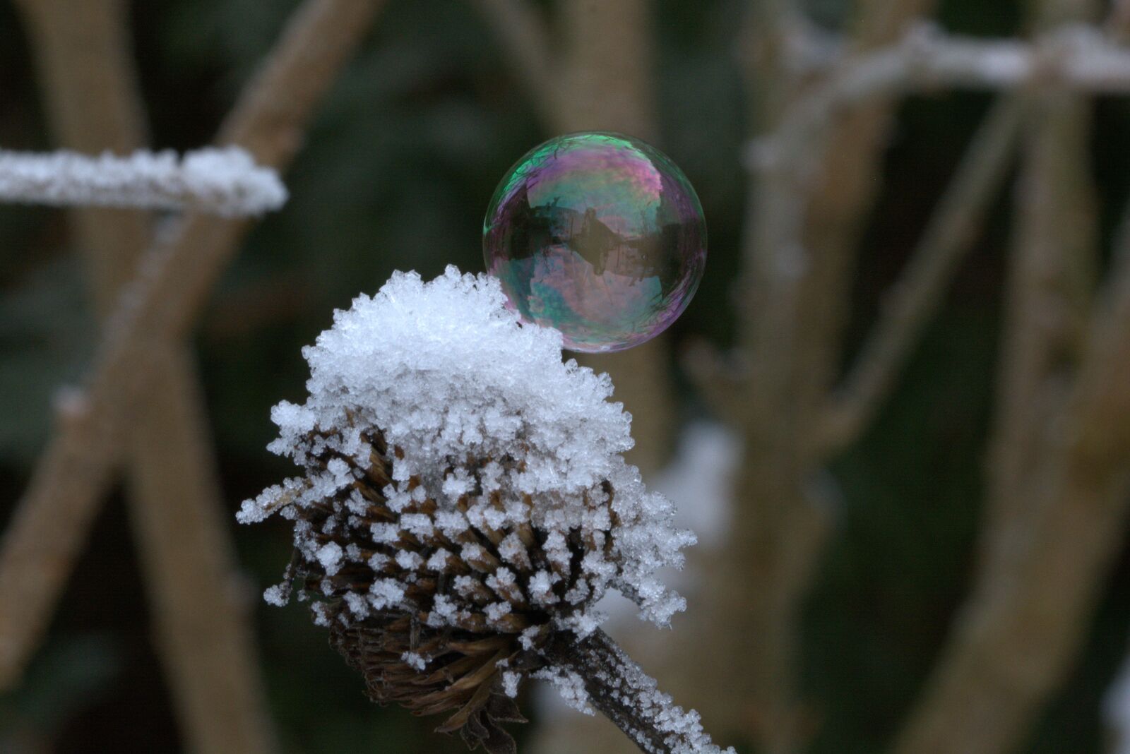 Nikon D5200 sample photo. Soap bubble, freeze, frozen photography