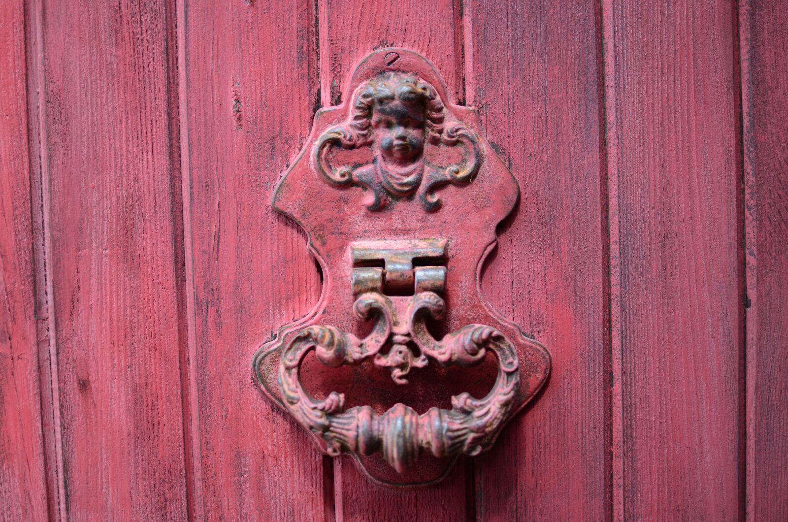 Nikon D7000 sample photo. The door, roses, the photography