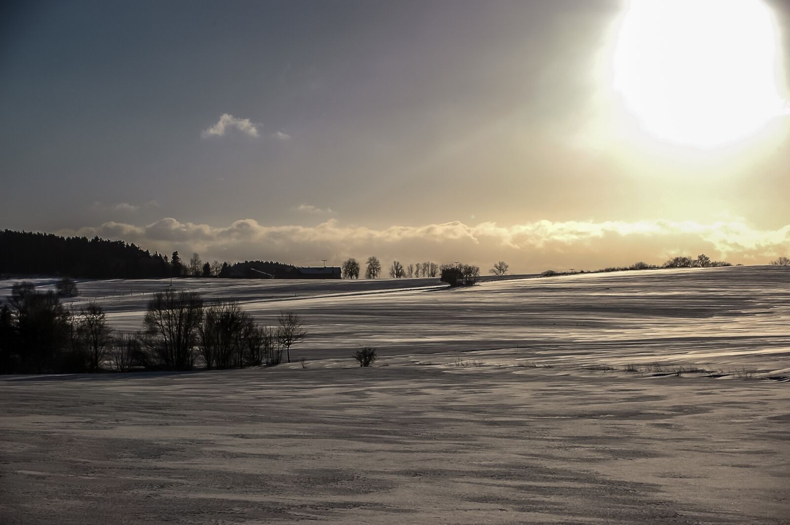 Nikon D70 sample photo. Winter, sun, backlighting photography