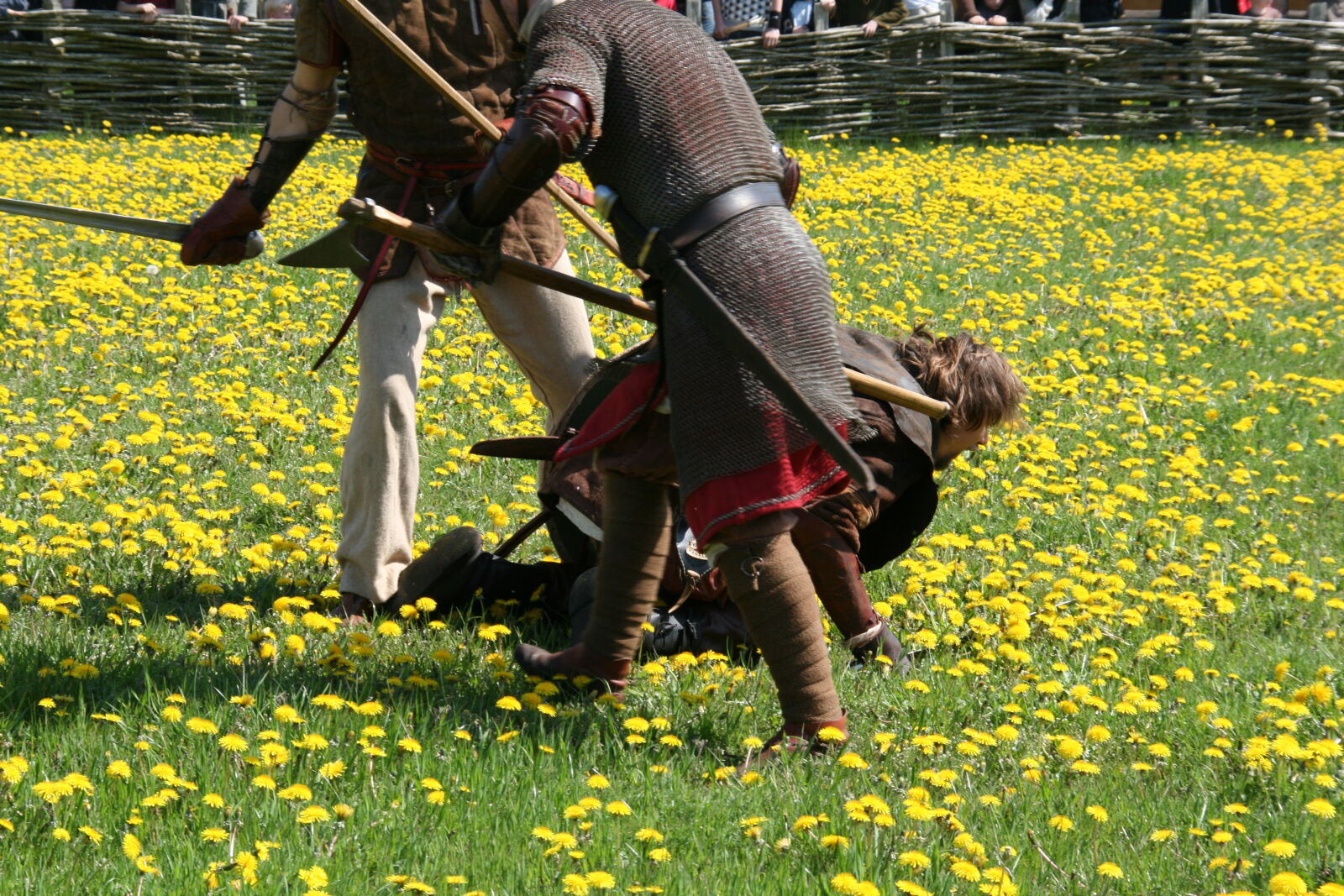 Sigma 18-200mm f/3.5-6.3 DC OS sample photo. Vikings photography