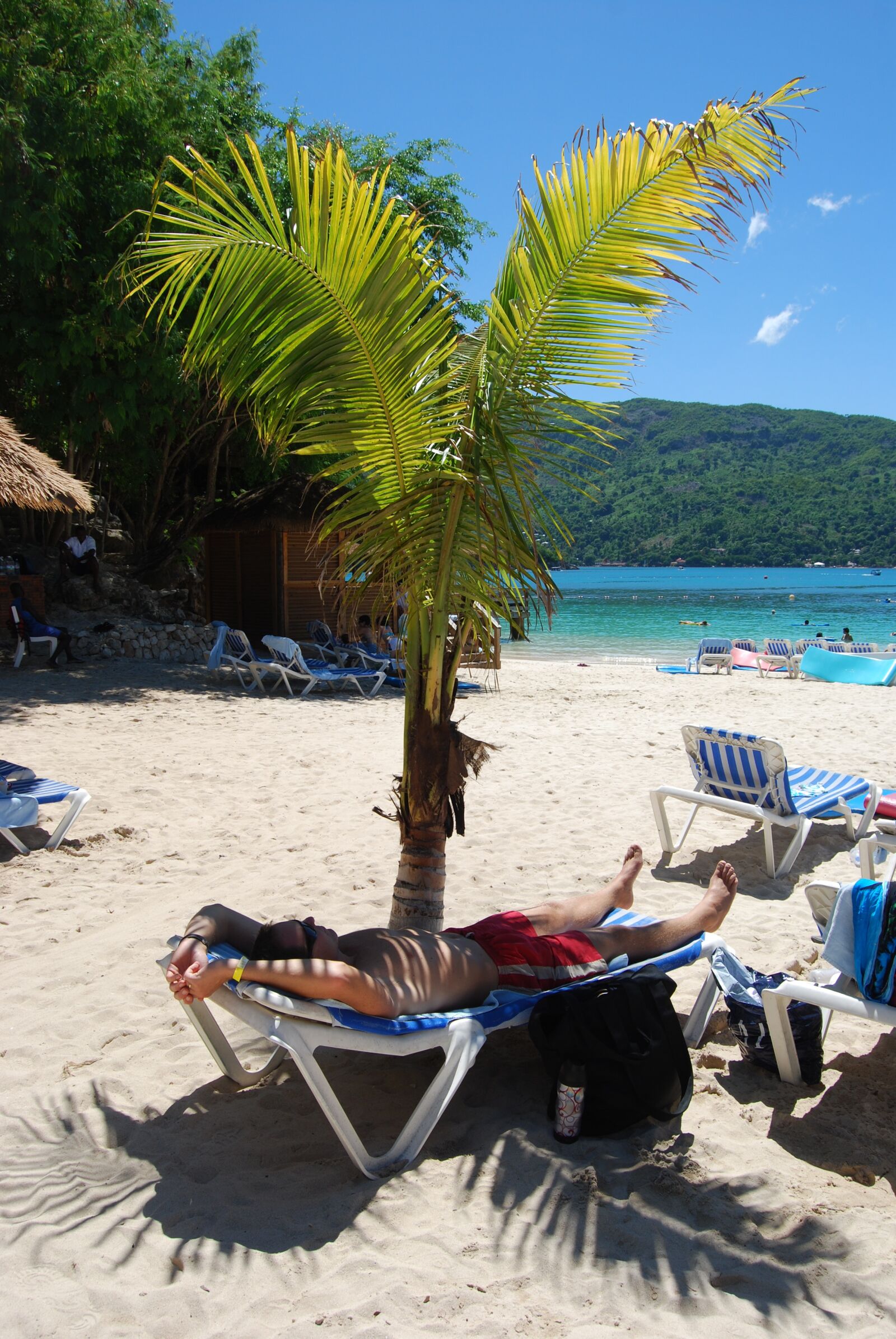 Nikon D40X sample photo. Cruise, shade, palm photography