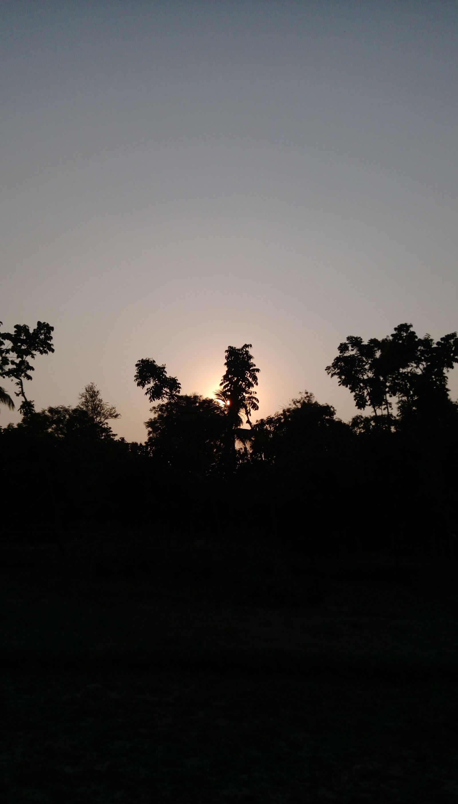 HTC DESIRE 830 DUAL SIM sample photo. Nature, sunset, view photography