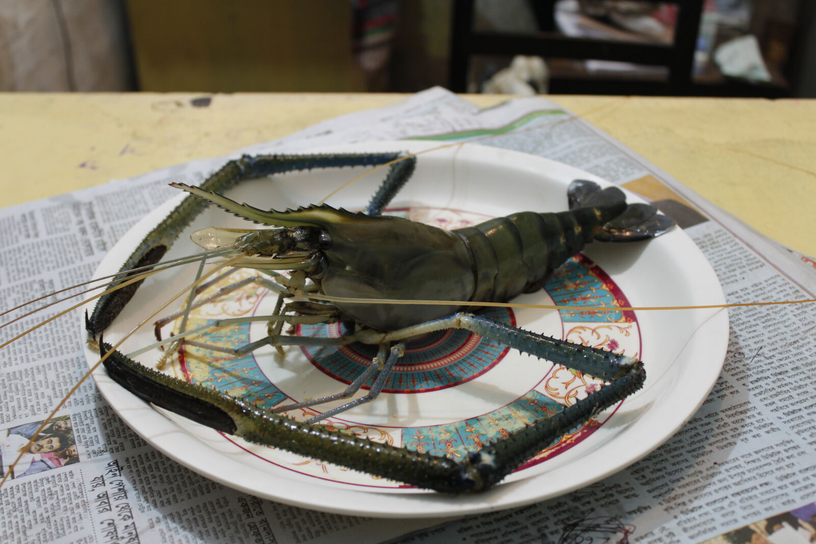 Canon EOS 500D (EOS Rebel T1i / EOS Kiss X3) sample photo. Bangladesh, canal, fish, fisherman photography