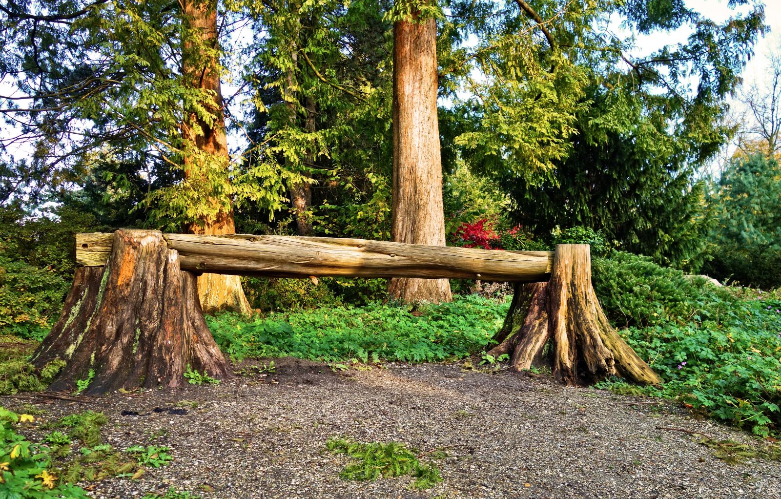 Sony Cyber-shot DSC-RX100 sample photo. Bench, log bench, wooden photography