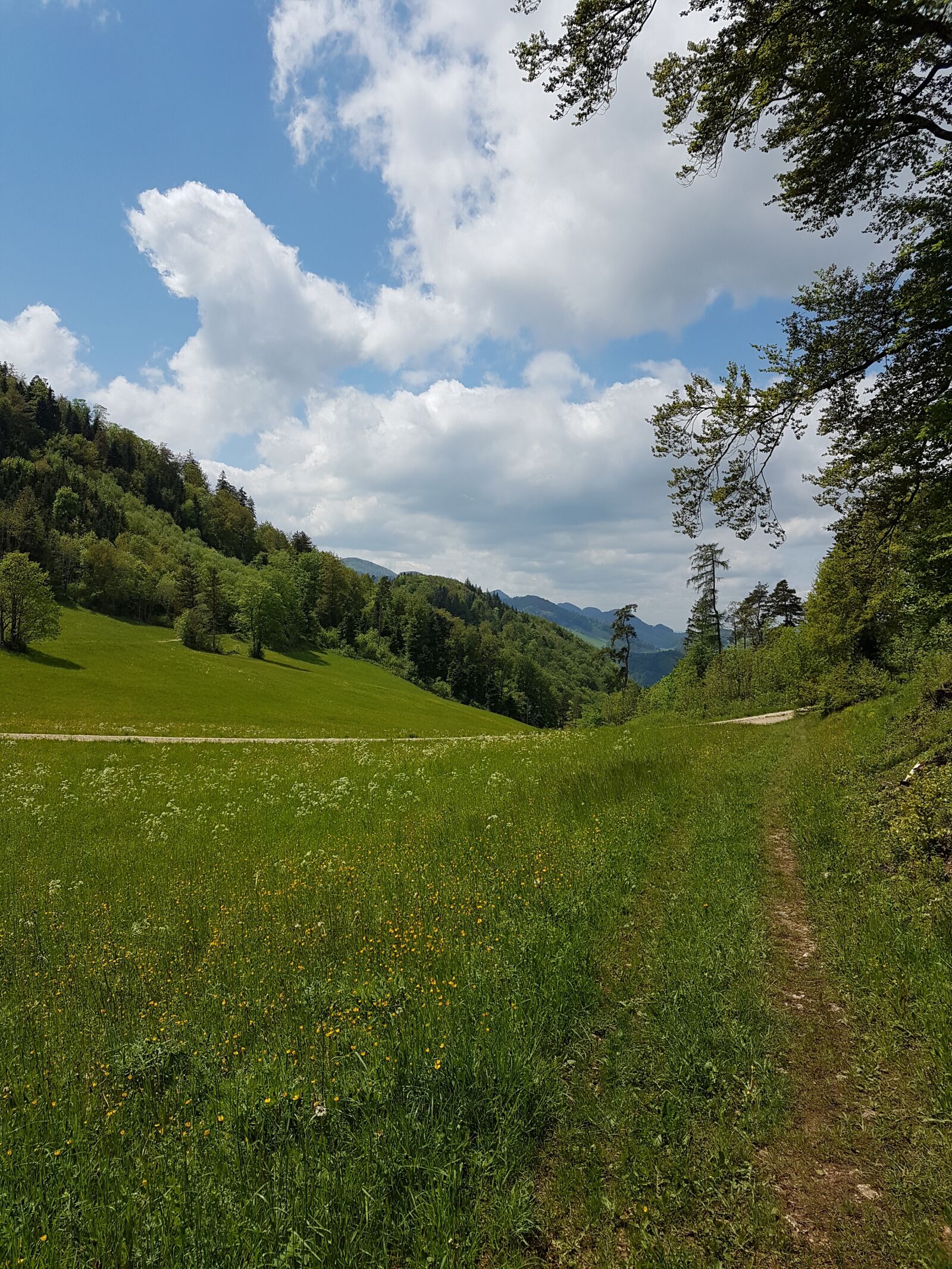 Samsung Galaxy S7 Edge sample photo. Switzerland, basel-land, eptingen photography