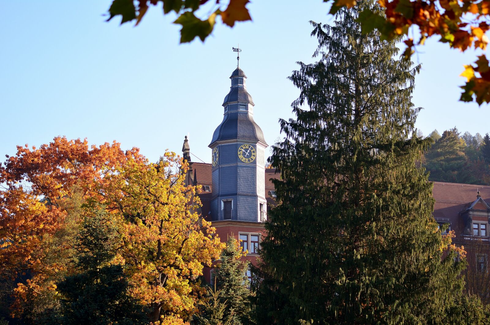 Nikon D5200 sample photo. Autumn, sun, colorful photography