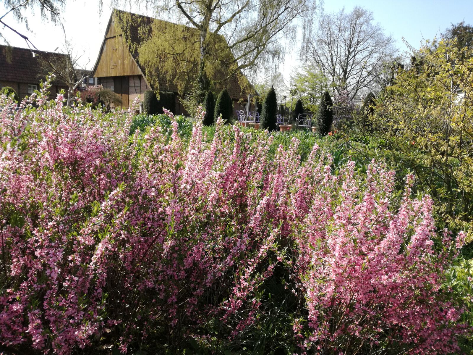 HUAWEI P9 LITE sample photo. Heather, circle teaching garden photography