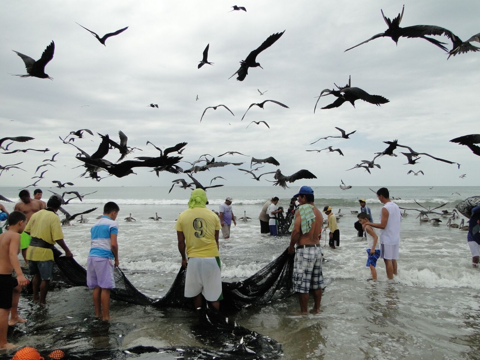 Sony Cyber-shot DSC-HX1 sample photo. Fishing, seagulls, sea photography