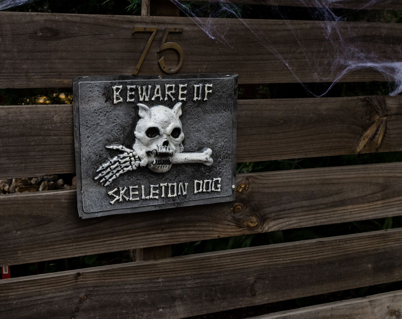 Canon EOS 80D sample photo. Halloween, skull, bones photography