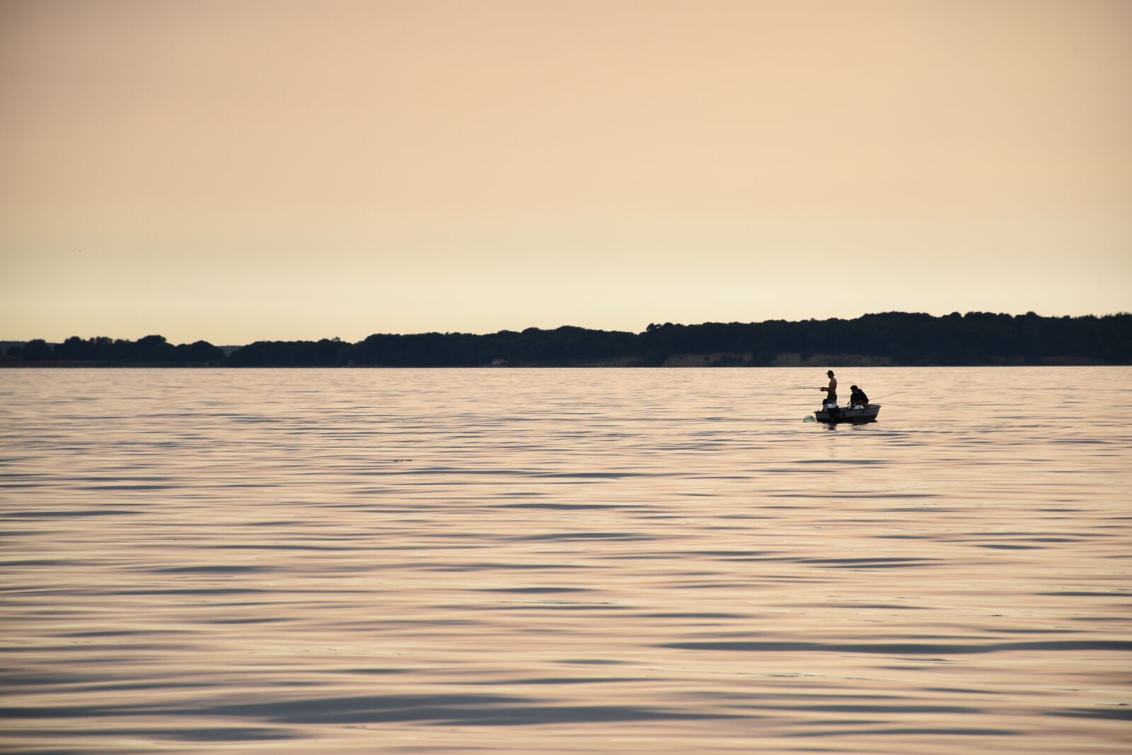 Nikon D5500 sample photo. Angler, evening sun, sea photography