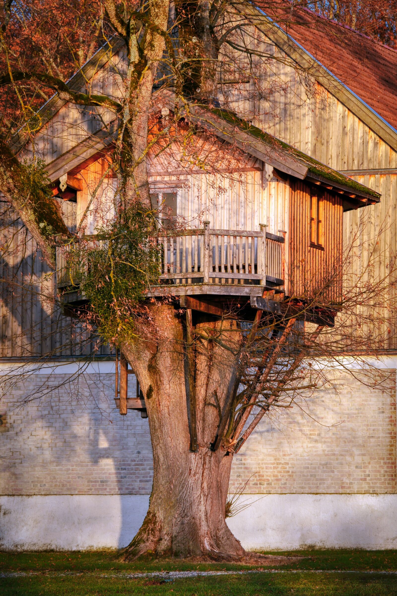 Panasonic Lumix DC-G90 (Lumix DC-G91) sample photo. Treehouse, log cabin, balcony photography