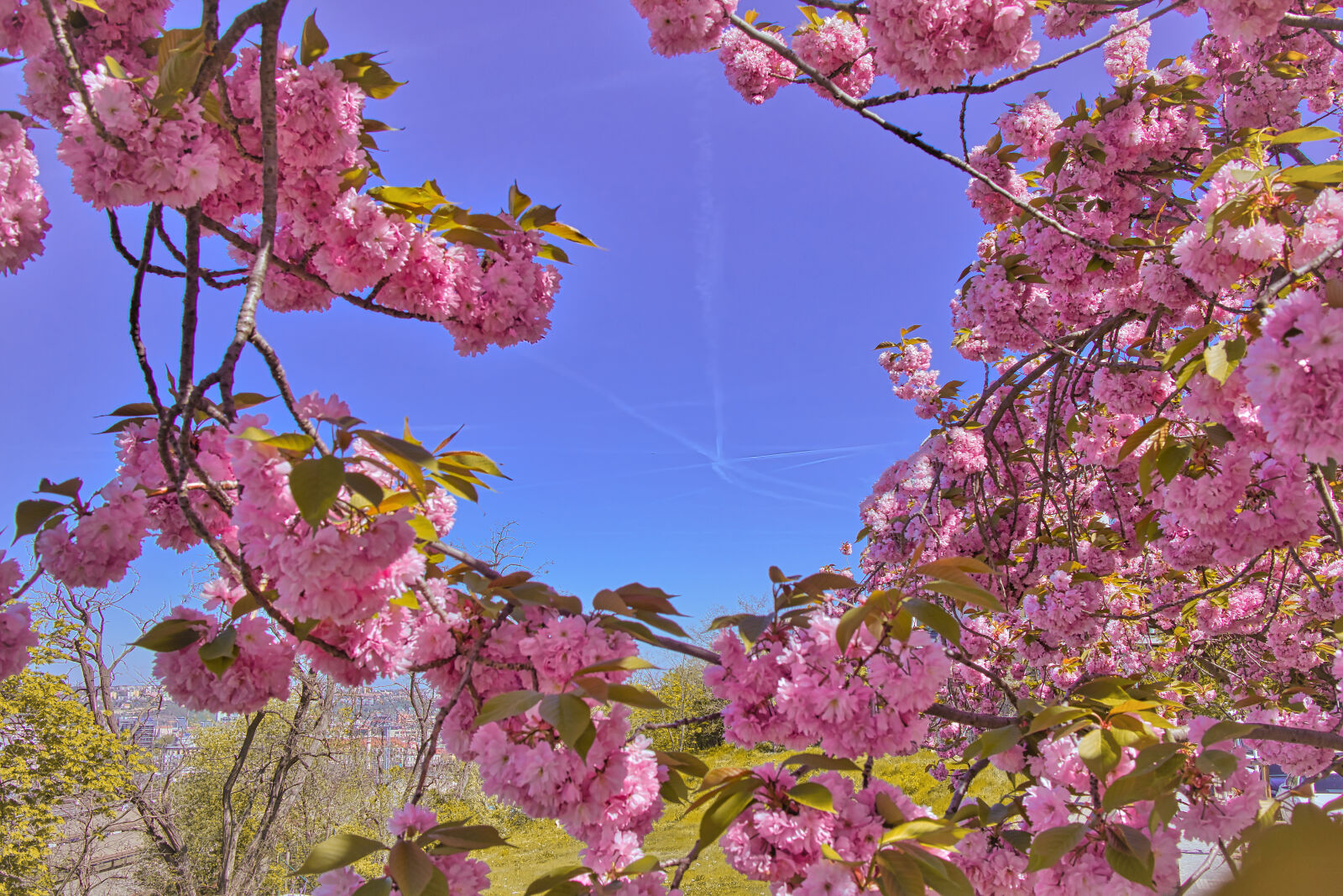 Canon EF-M 22mm F2 STM sample photo