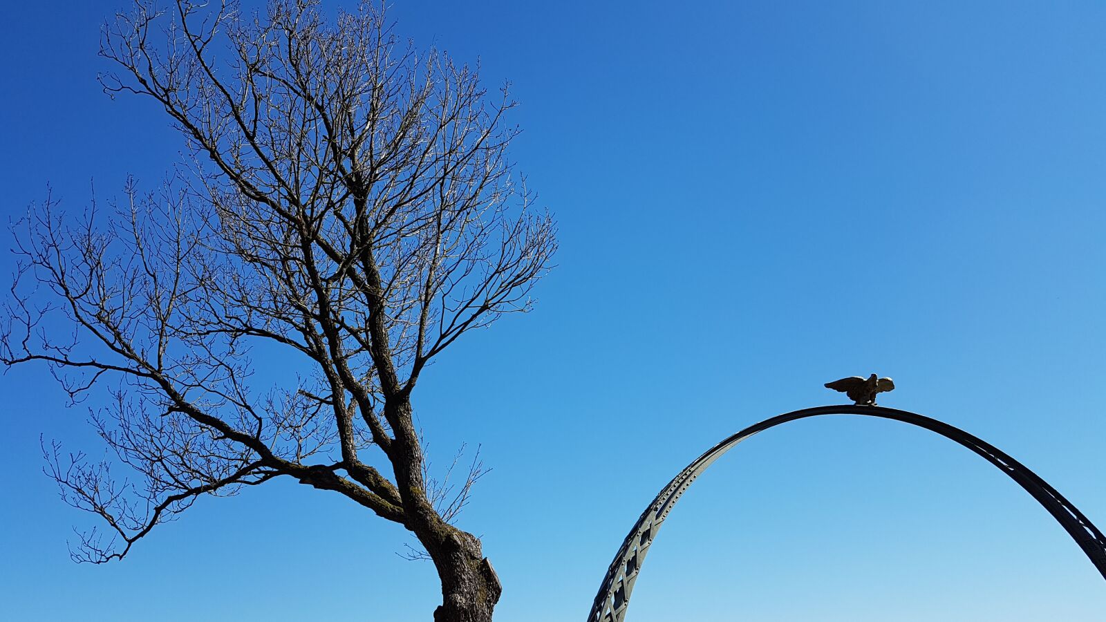 Samsung Galaxy S7 sample photo. Sky, freedom, spring photography