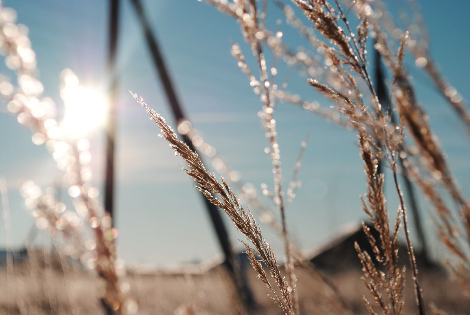 Nikon D3000 sample photo. Winter, landscape, snow photography