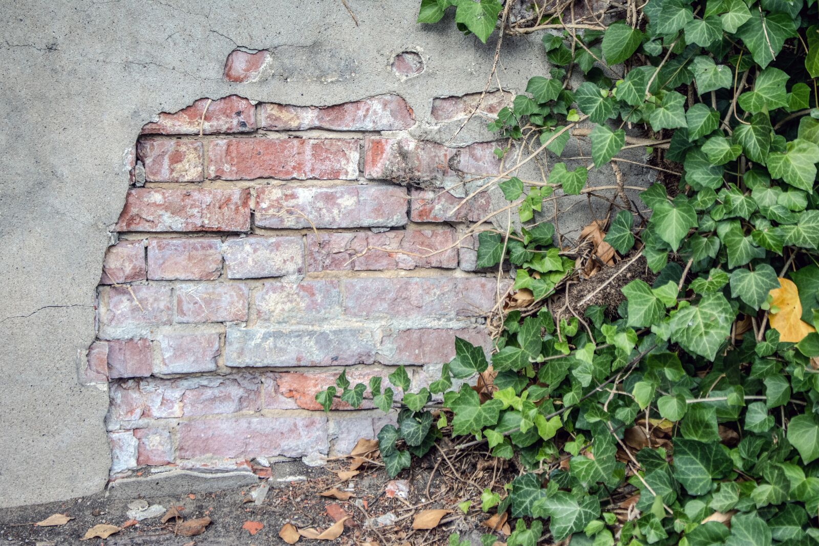 Canon EOS 750D (EOS Rebel T6i / EOS Kiss X8i) sample photo. Wall, plaster, structure photography