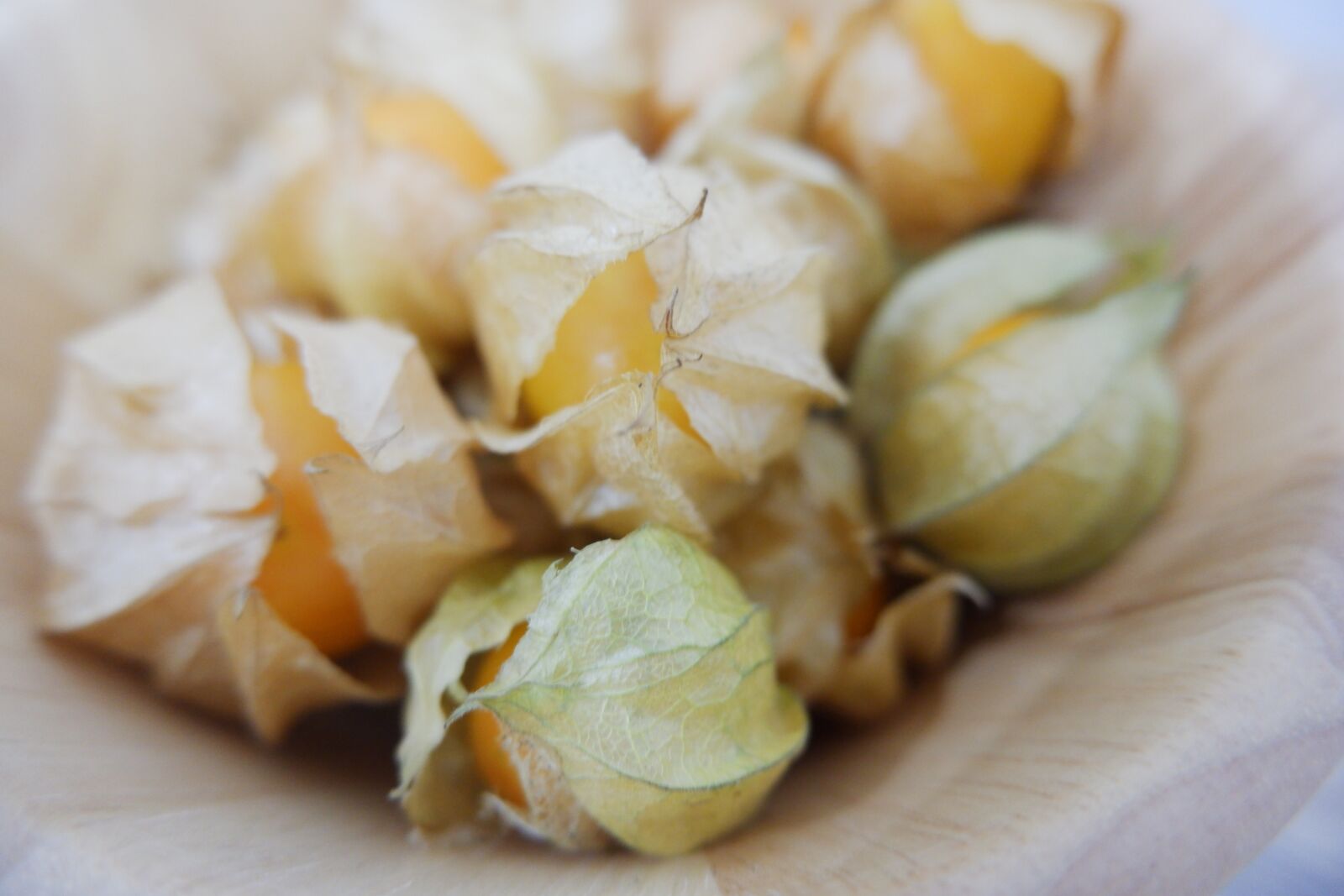 Fujifilm X-A5 sample photo. Cape goose berries, unsteadily photography