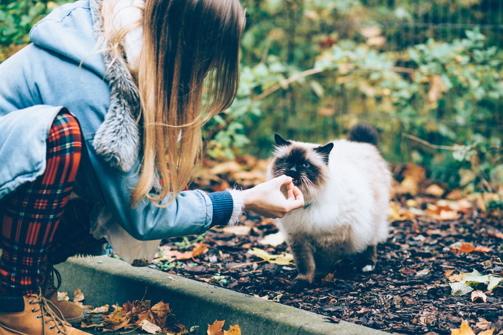 Canon EF 85mm F1.8 USM sample photo. Animals, people, autumn photography