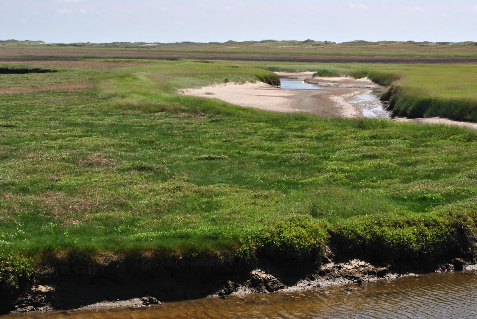 Nikon D3000 sample photo. Salt meadow, north sea photography