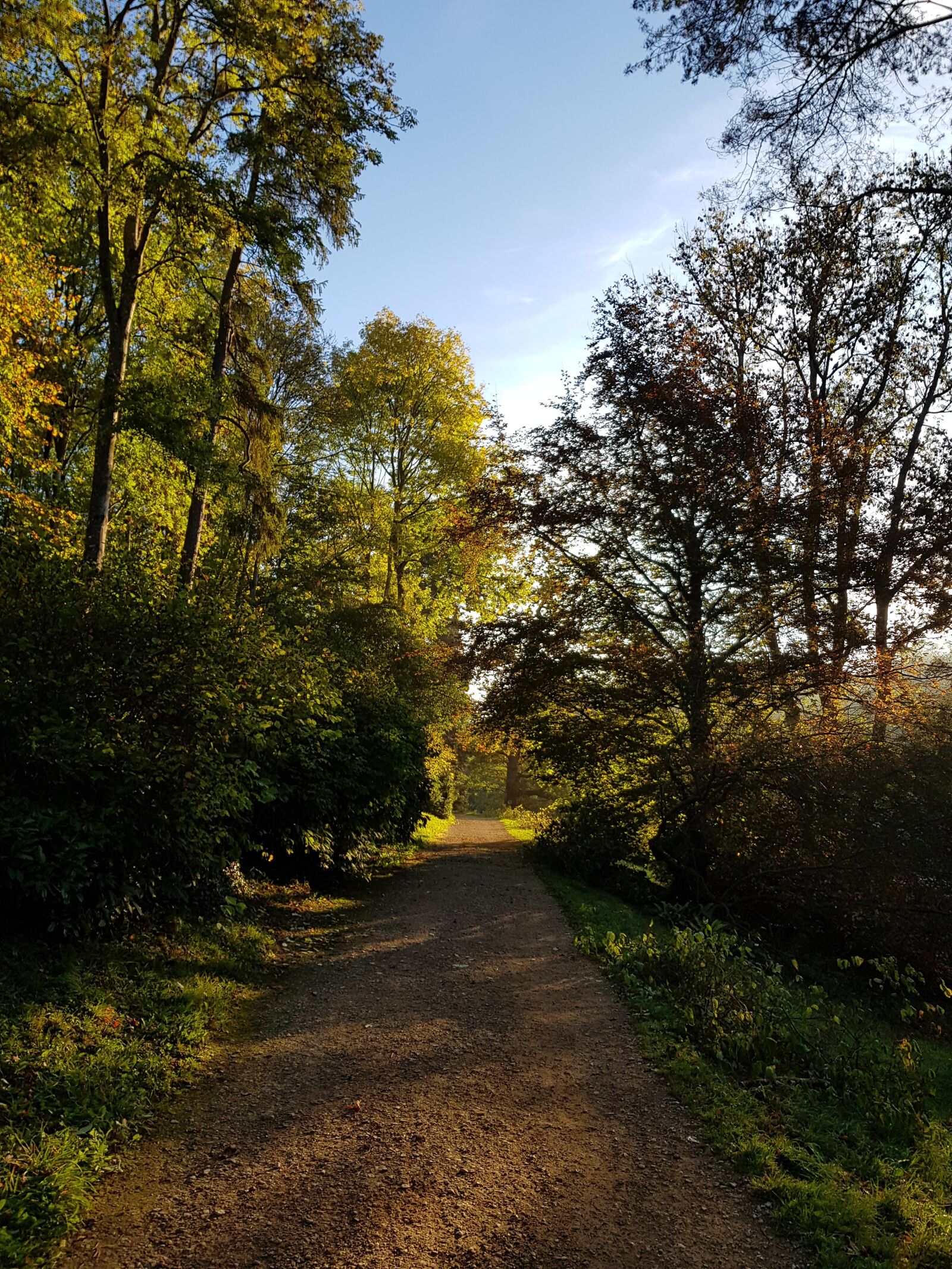 Samsung Galaxy S8 sample photo. Path, early morning, sun photography