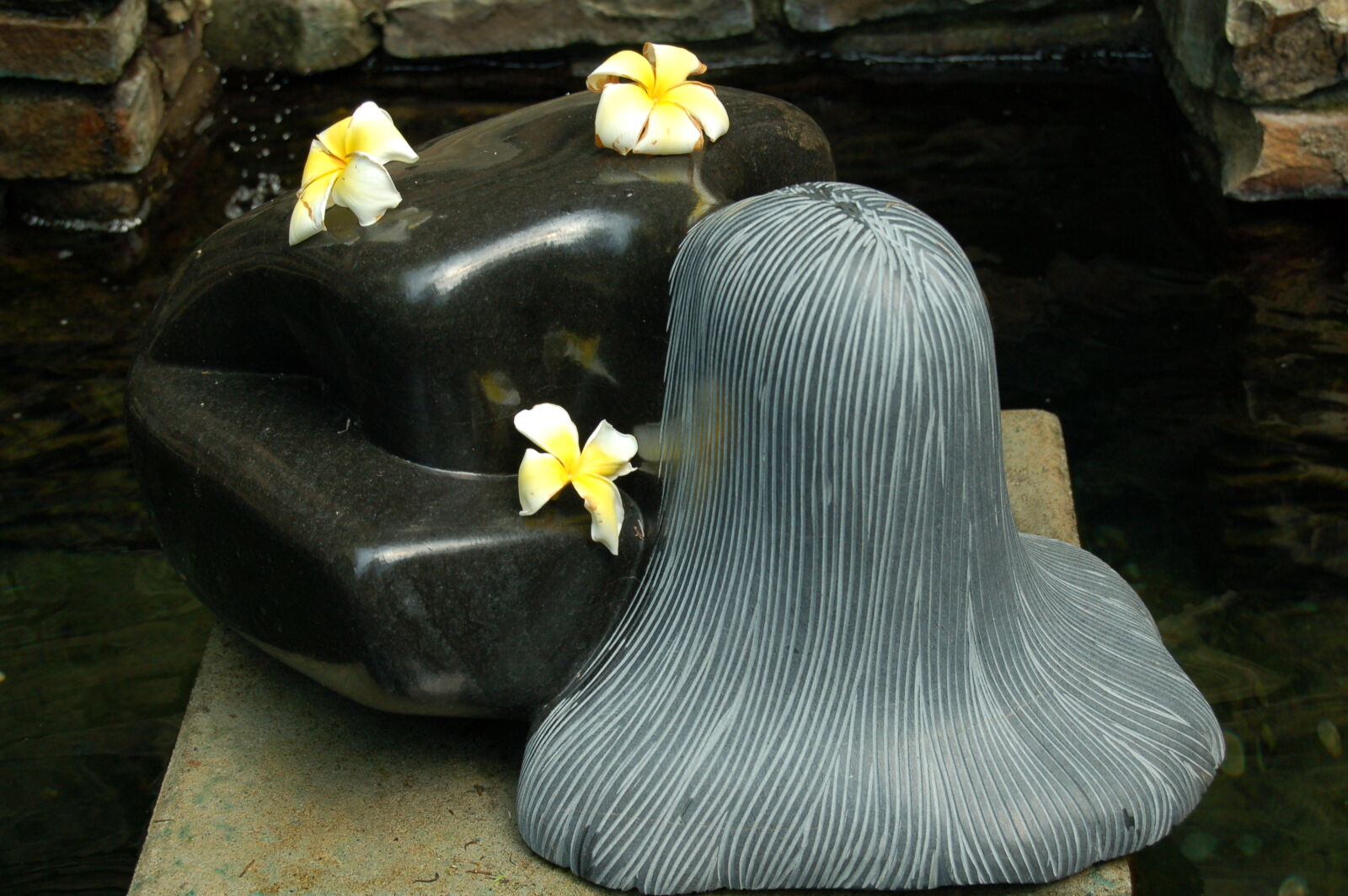Nikon D50 sample photo. Flowers, hair, orchids, sculpture photography