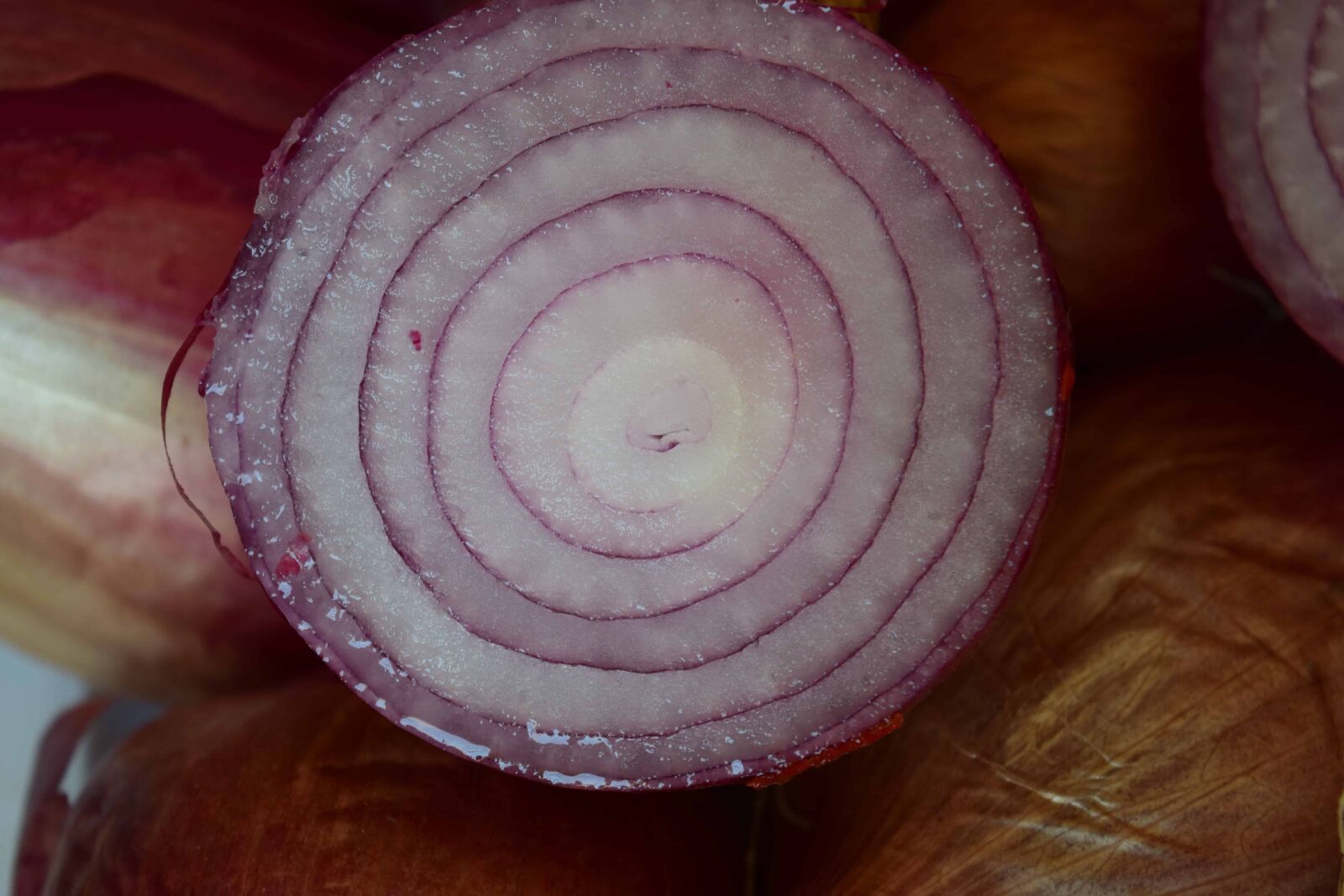 Nikon D3300 sample photo. Food, nutrition, onion, vegetable photography