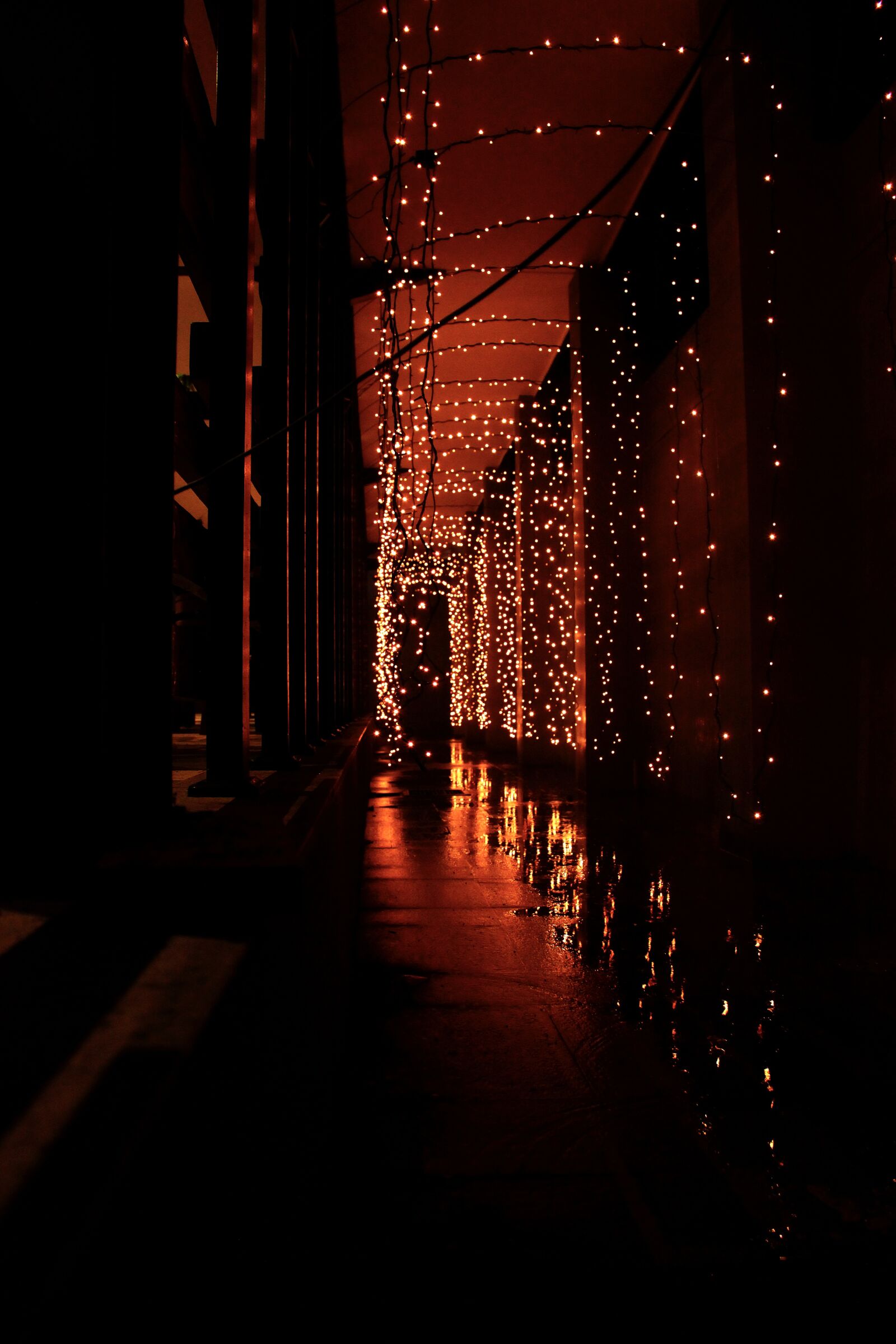 Canon EOS 600D (Rebel EOS T3i / EOS Kiss X5) sample photo. Warm, dark, darkness photography