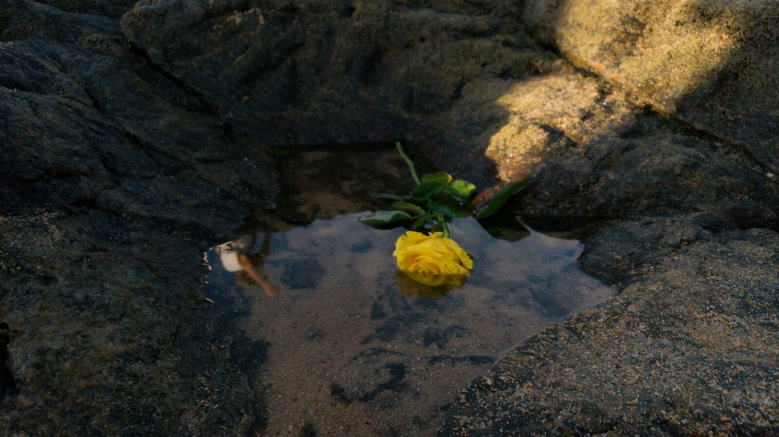 Samsung Galaxy Note9 sample photo. Rocks, rosa, costa photography