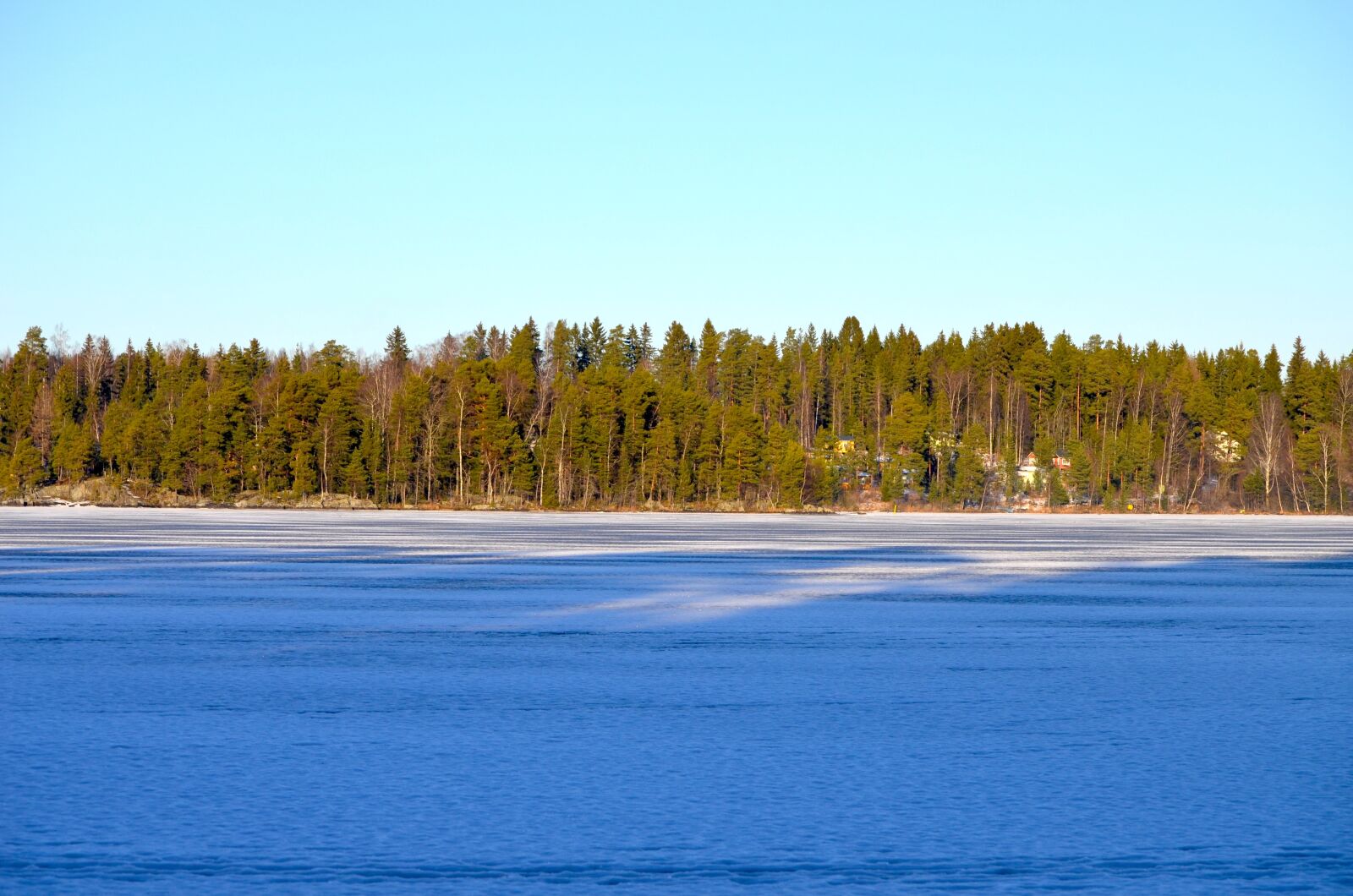 Nikon D5100 sample photo. Frozen lake, forest, ice photography