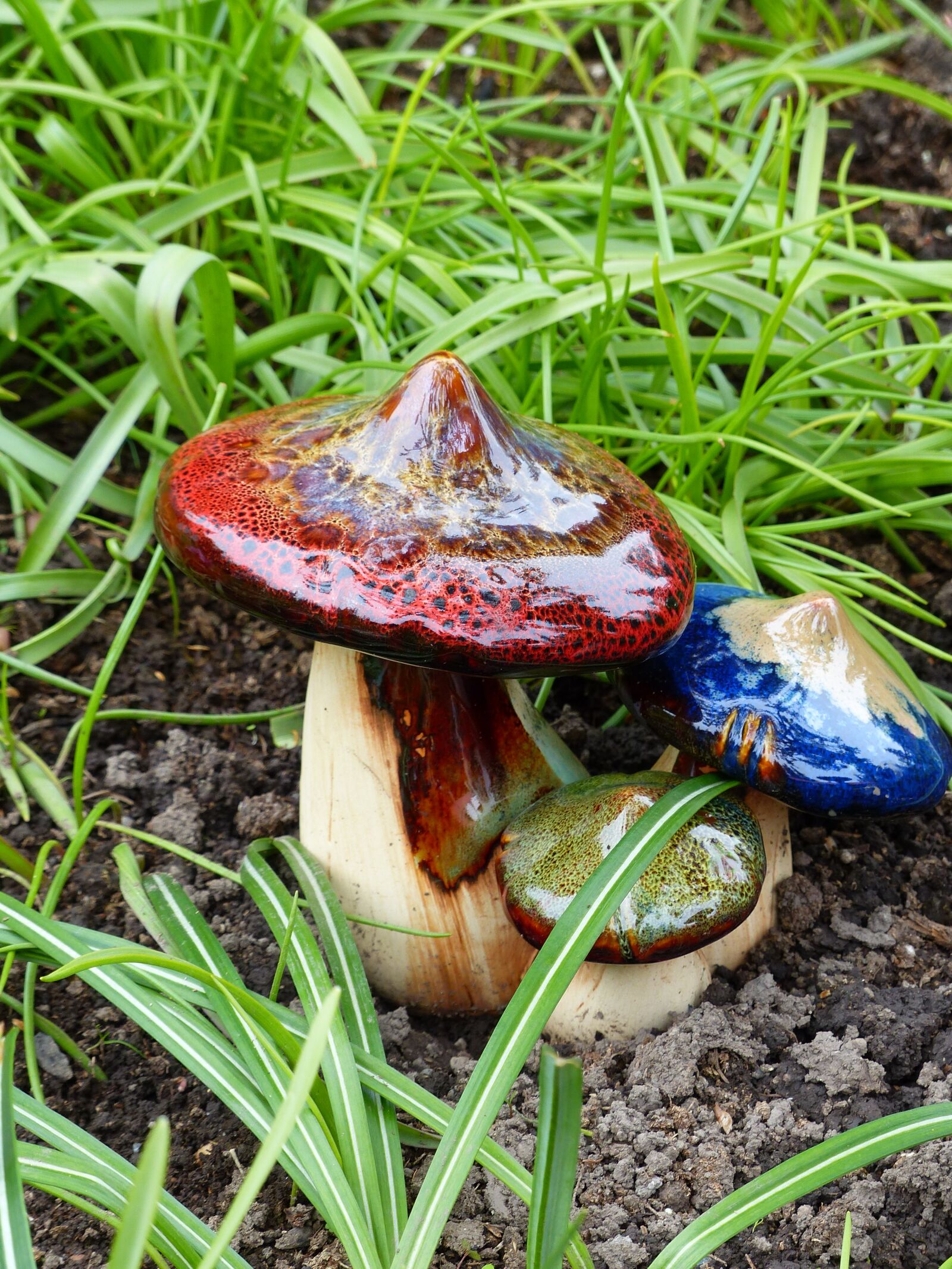 Panasonic Lumix DMC-FZ200 sample photo. Garden, mushroom, decoration photography