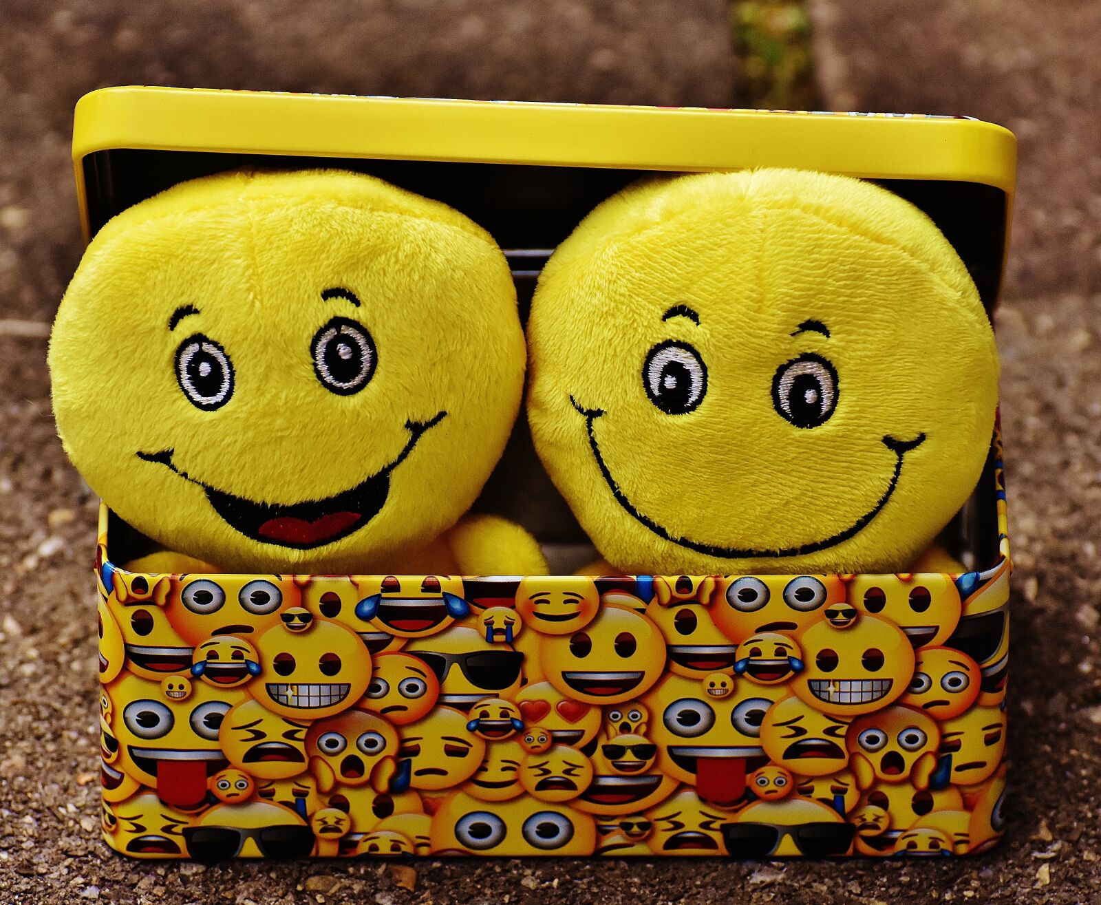 Nikon D7200 sample photo. Smilies, yellow, funny photography