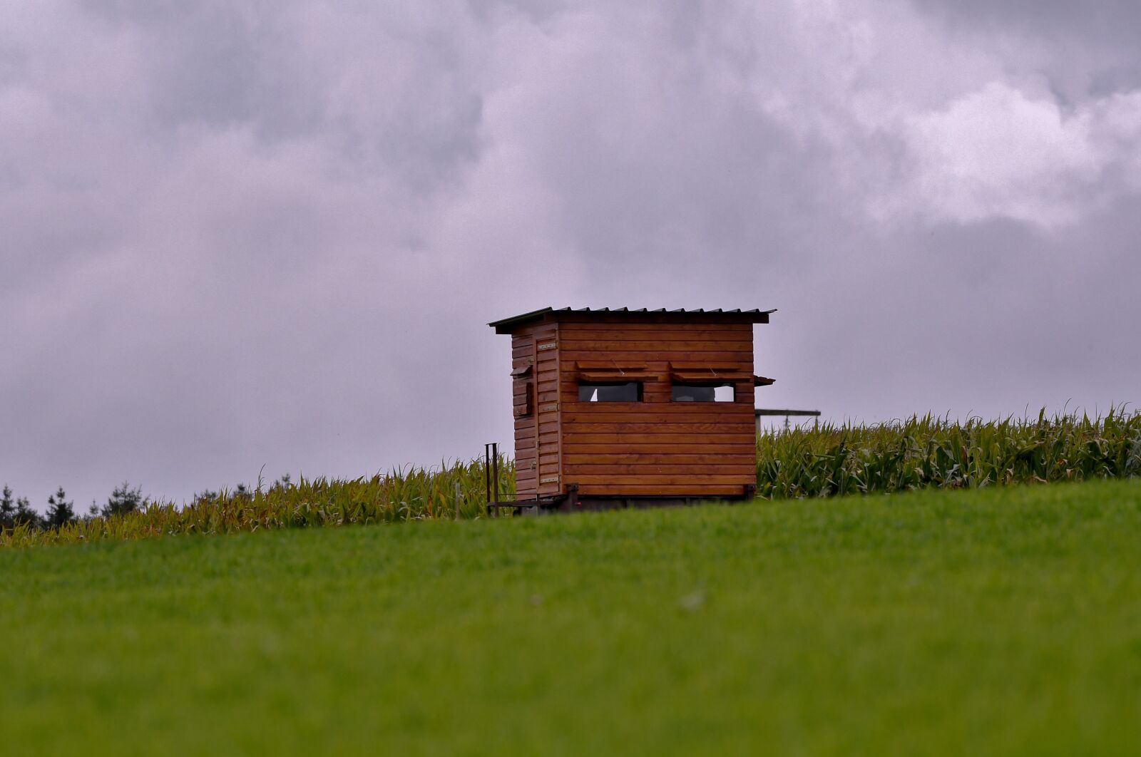 Nikon D500 sample photo. Observation post, hunting lodge photography