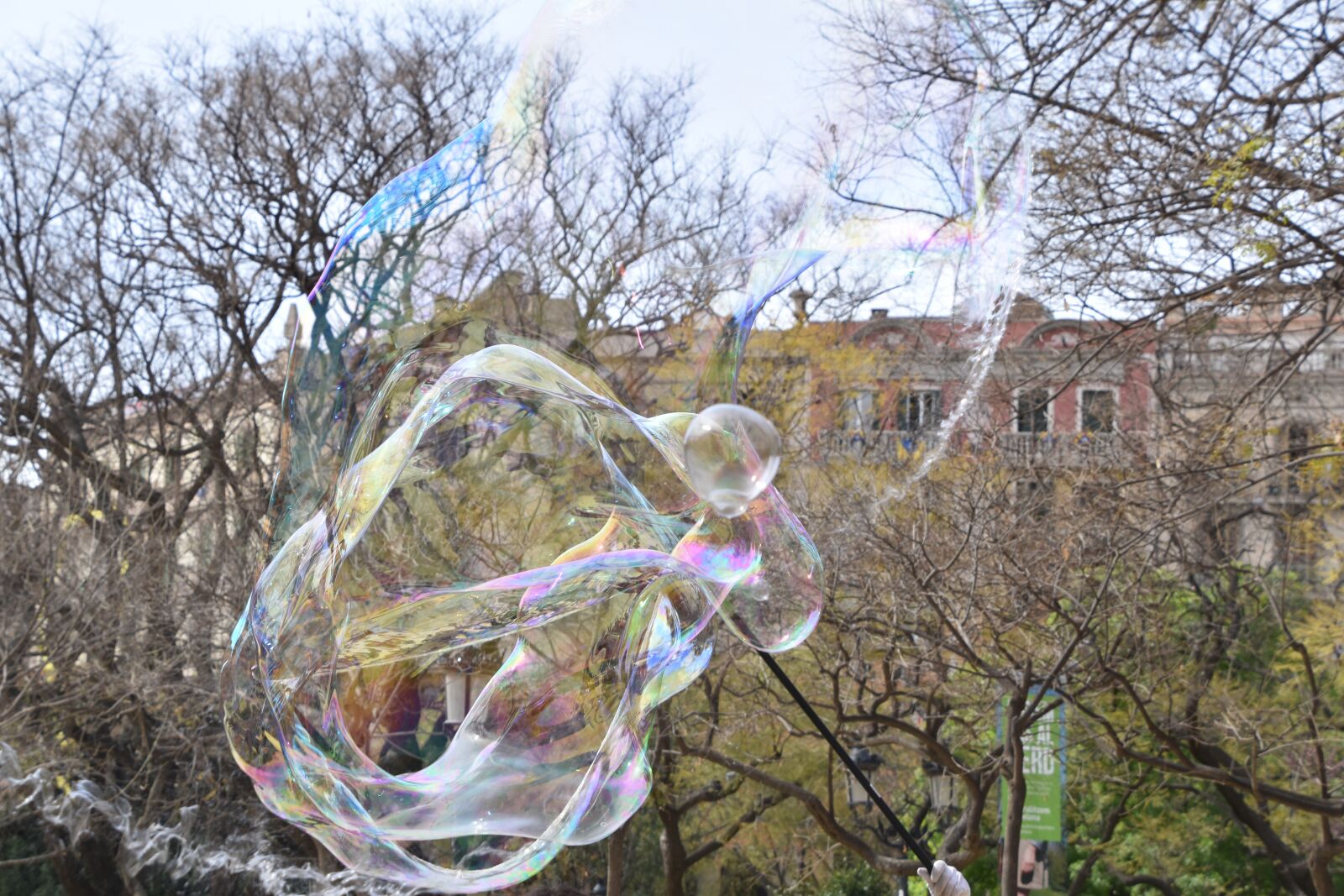 Nikon D5600 sample photo. Soap bubble, lightness, outside photography