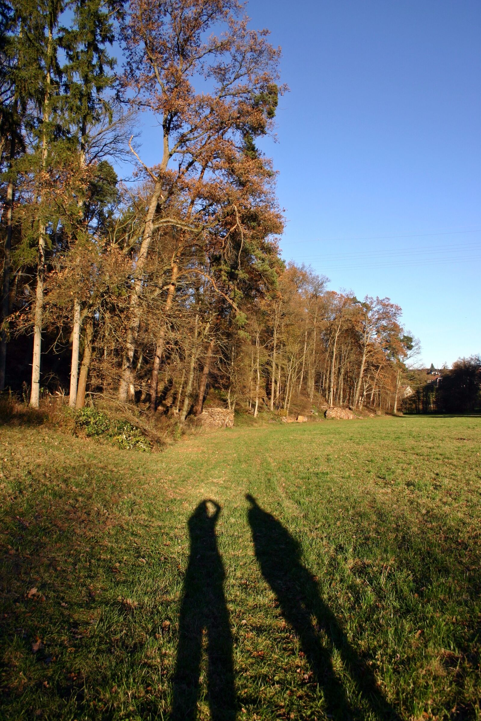 Canon EOS 300D (EOS Digital Rebel / EOS Kiss Digital) sample photo. Walk, autumn, shadow photography