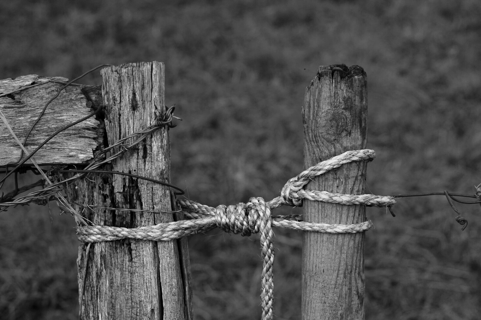 Canon EF-S 55-250mm F4-5.6 IS II sample photo. Goal, old, fence photography
