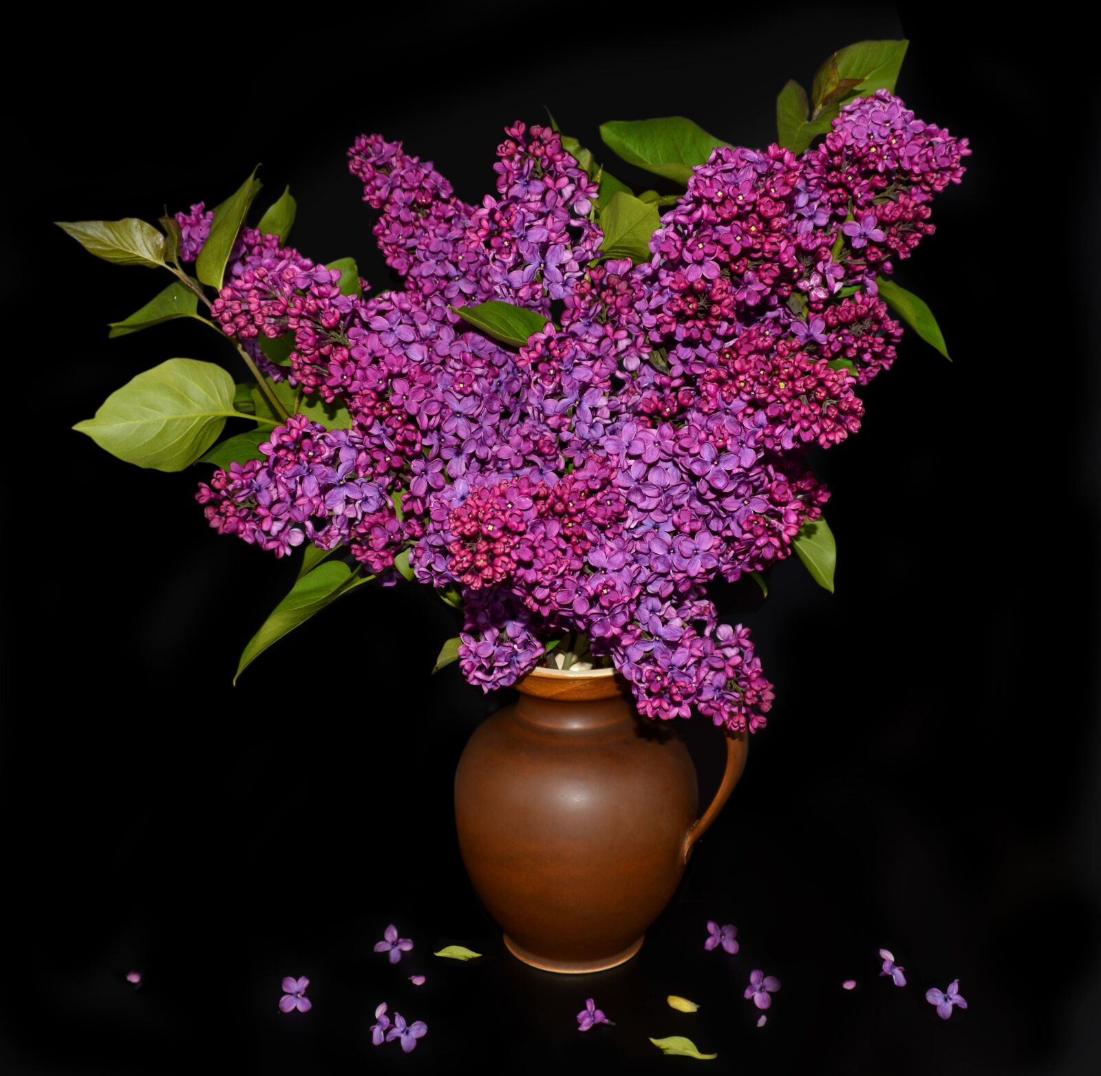 Nikon D3200 sample photo. Lilac, bouquet, purple photography
