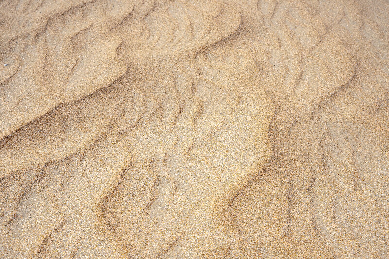 Canon EF 16-35mm F4L IS USM sample photo. Sand, beach, sea photography