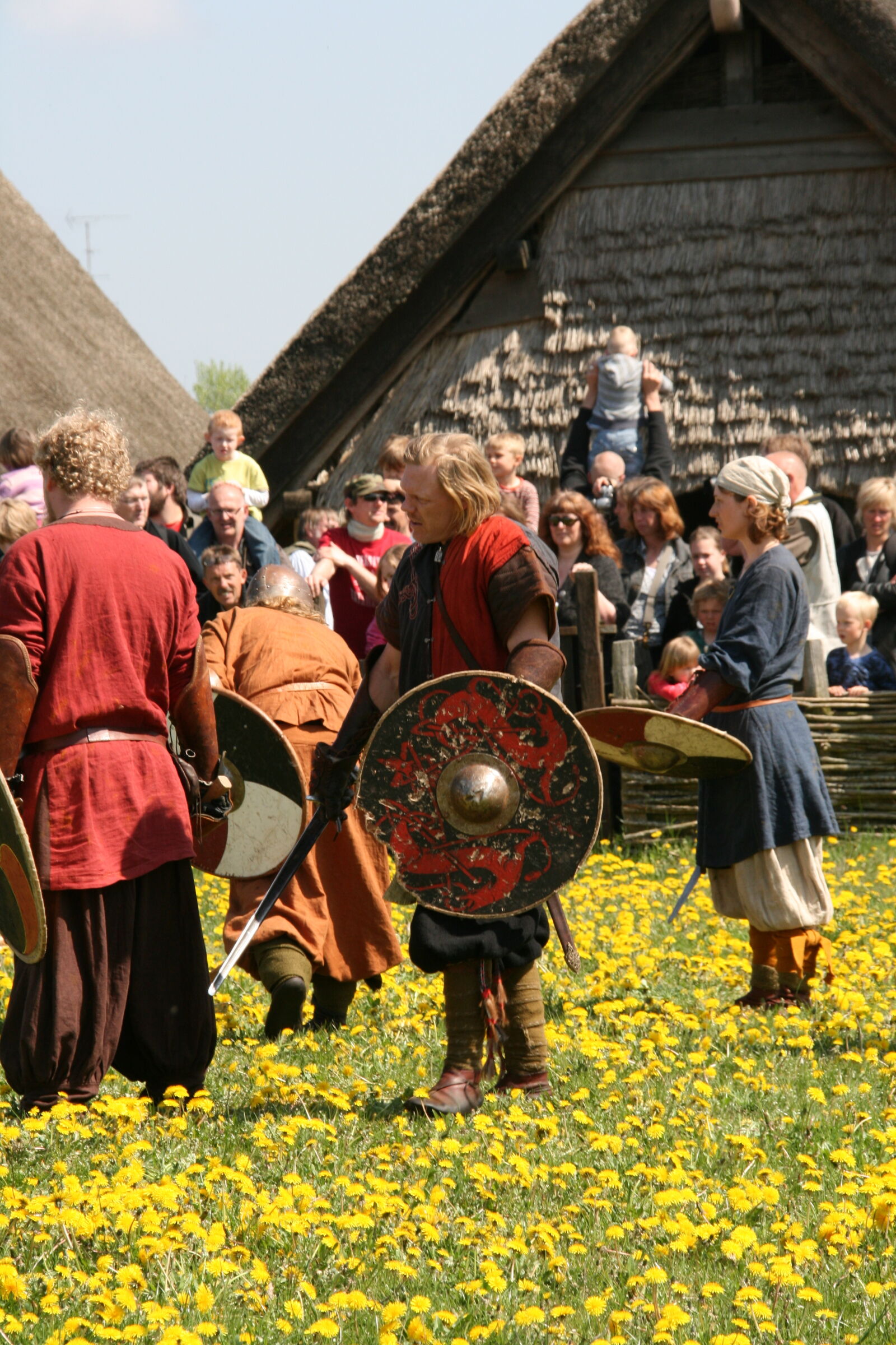 Sigma 18-200mm f/3.5-6.3 DC OS sample photo. Vikings photography