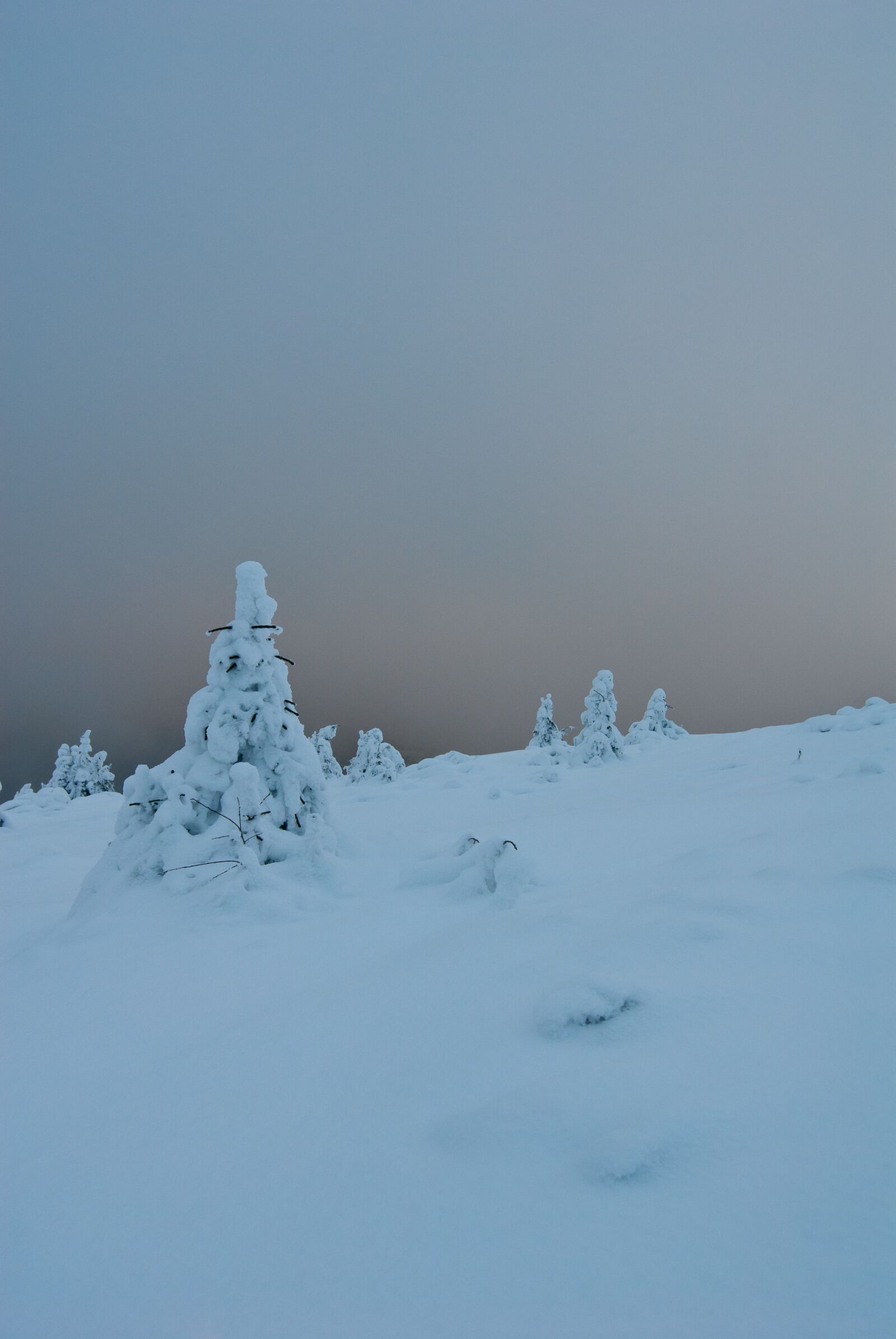 Nikon D200 sample photo. Winter, mountain, snow photography