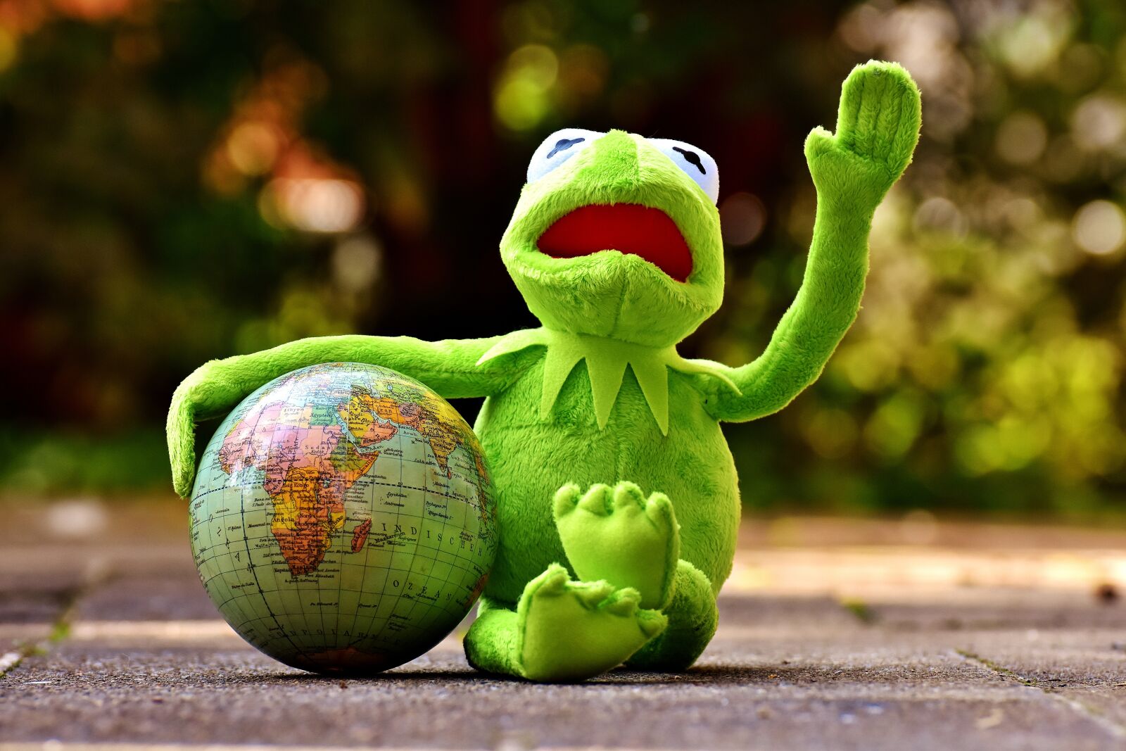 Nikon D7200 sample photo. Kermit, holiday greetings, soft photography