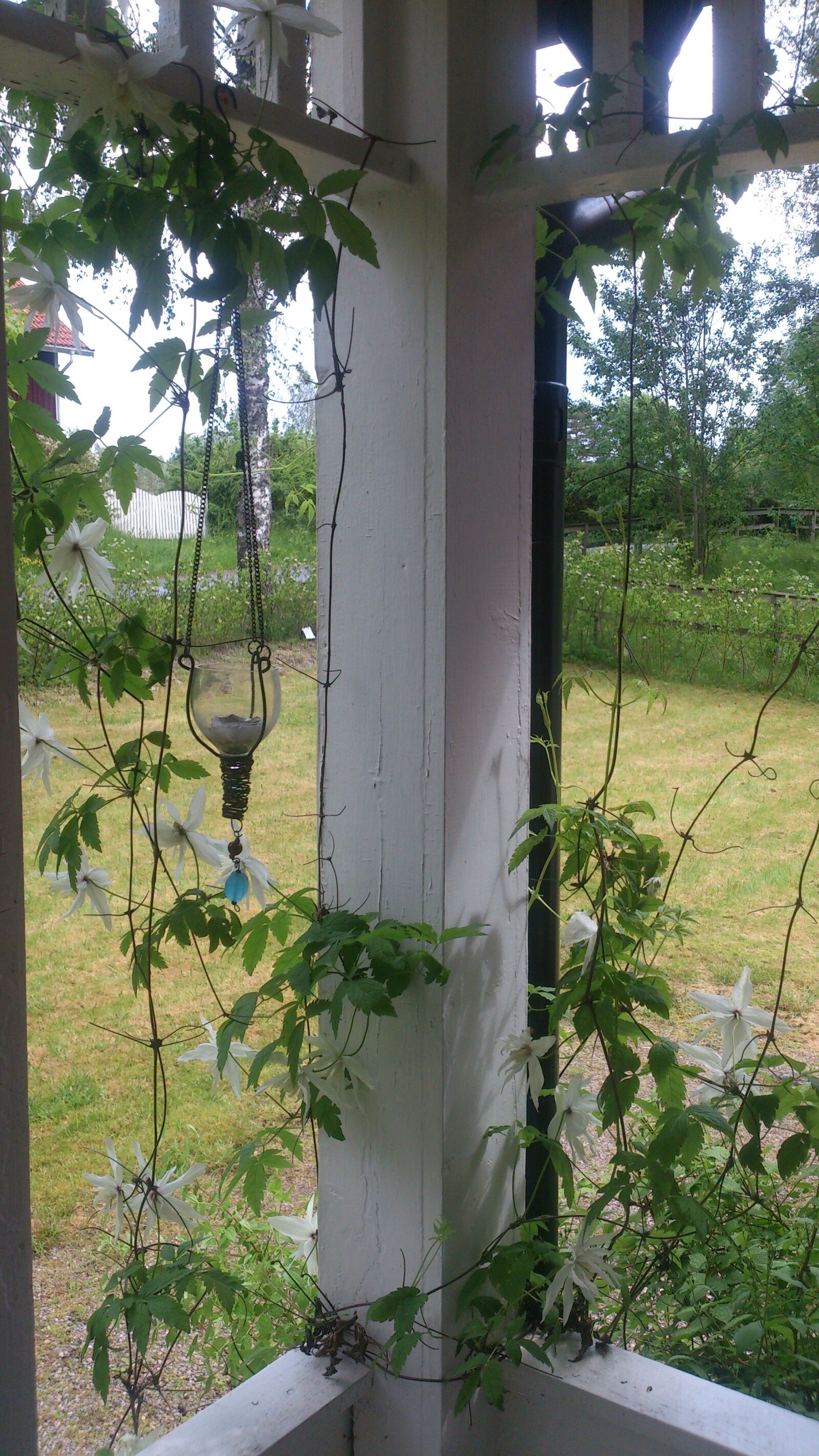 Sony Xperia V sample photo. Porch, vines, summer photography