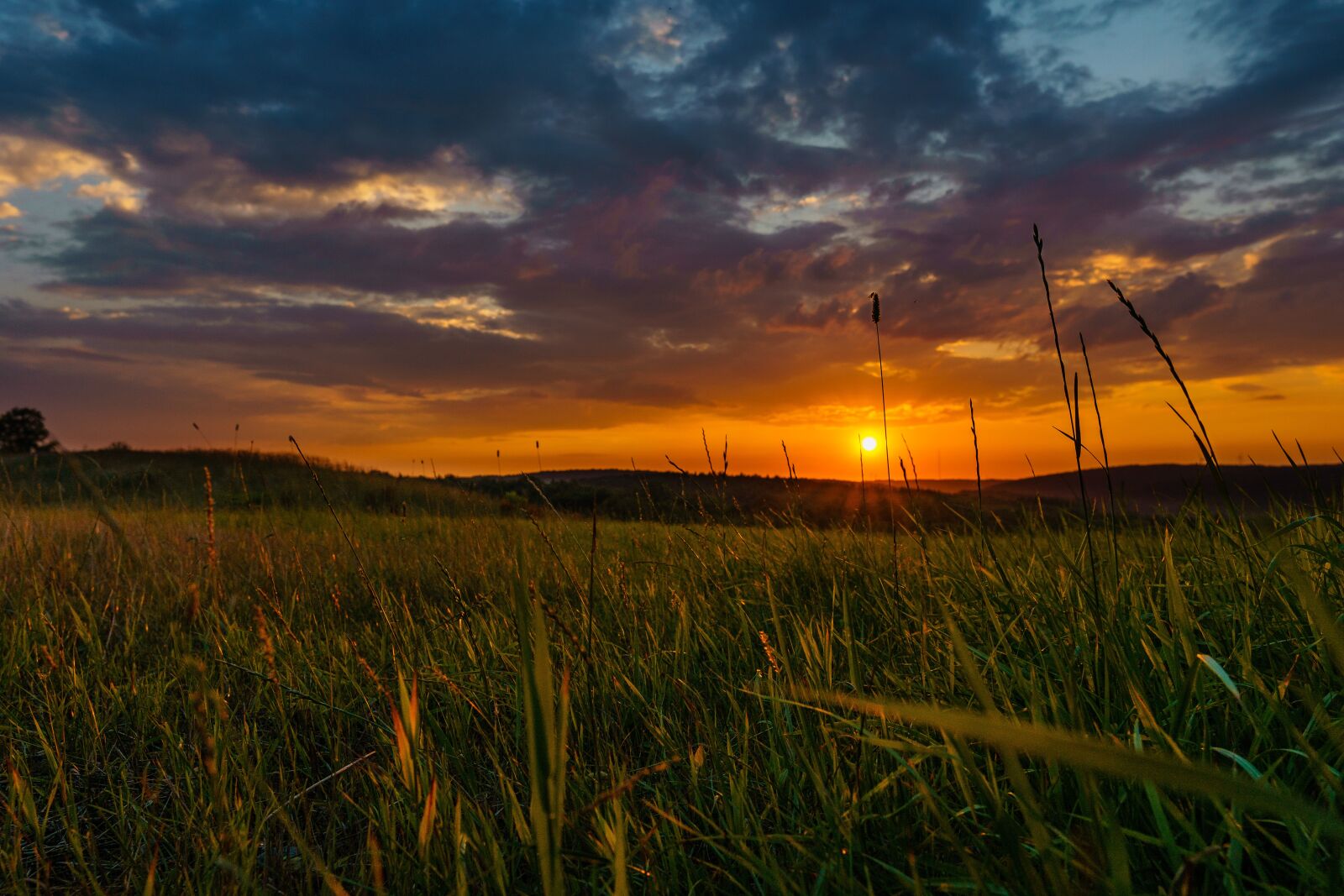 Sigma 16mm F1.4 DC DN | C sample photo. Sunset, clouds, grass photography