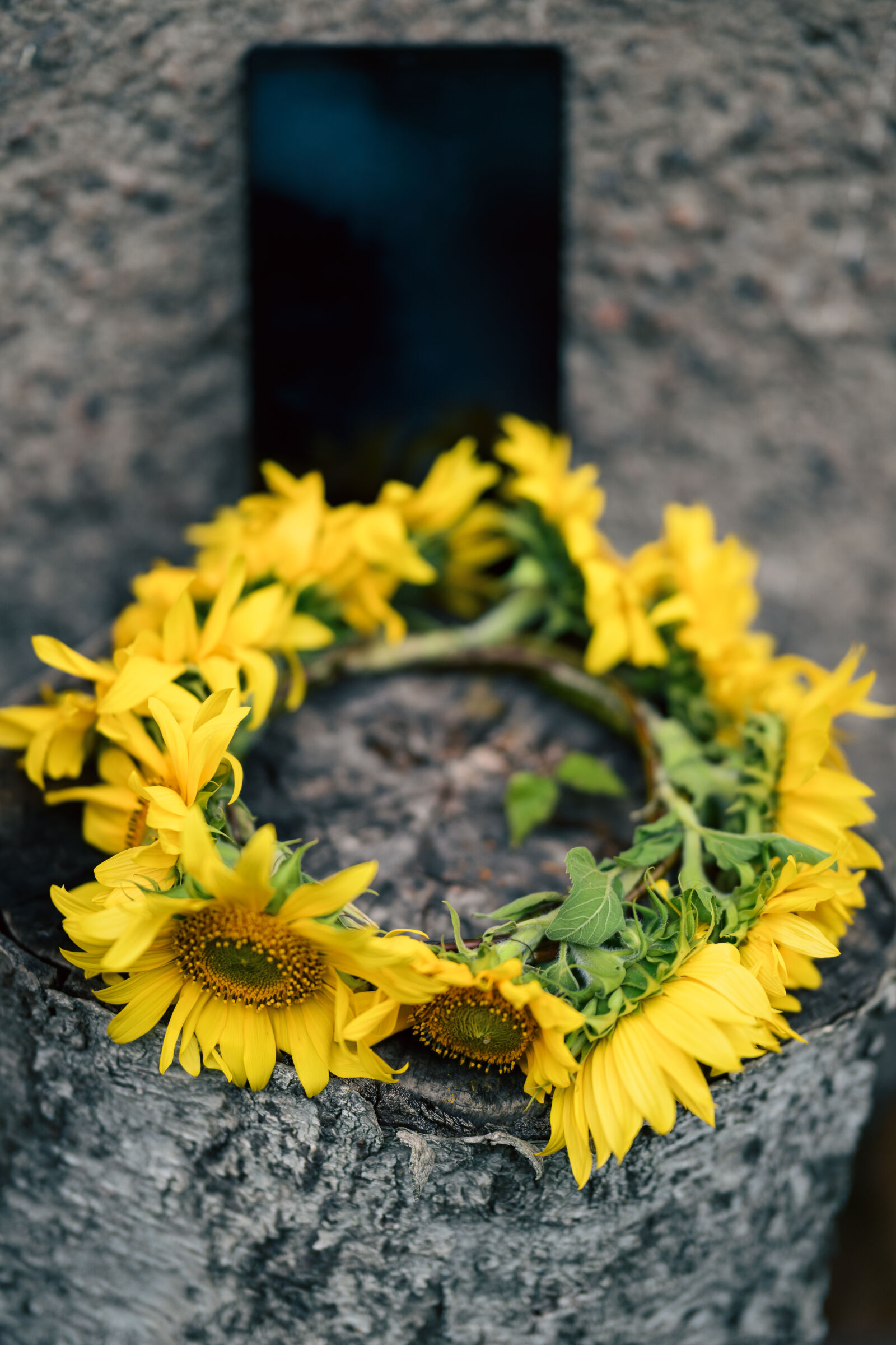 Nikon Z8 sample photo. Flower wreath photography