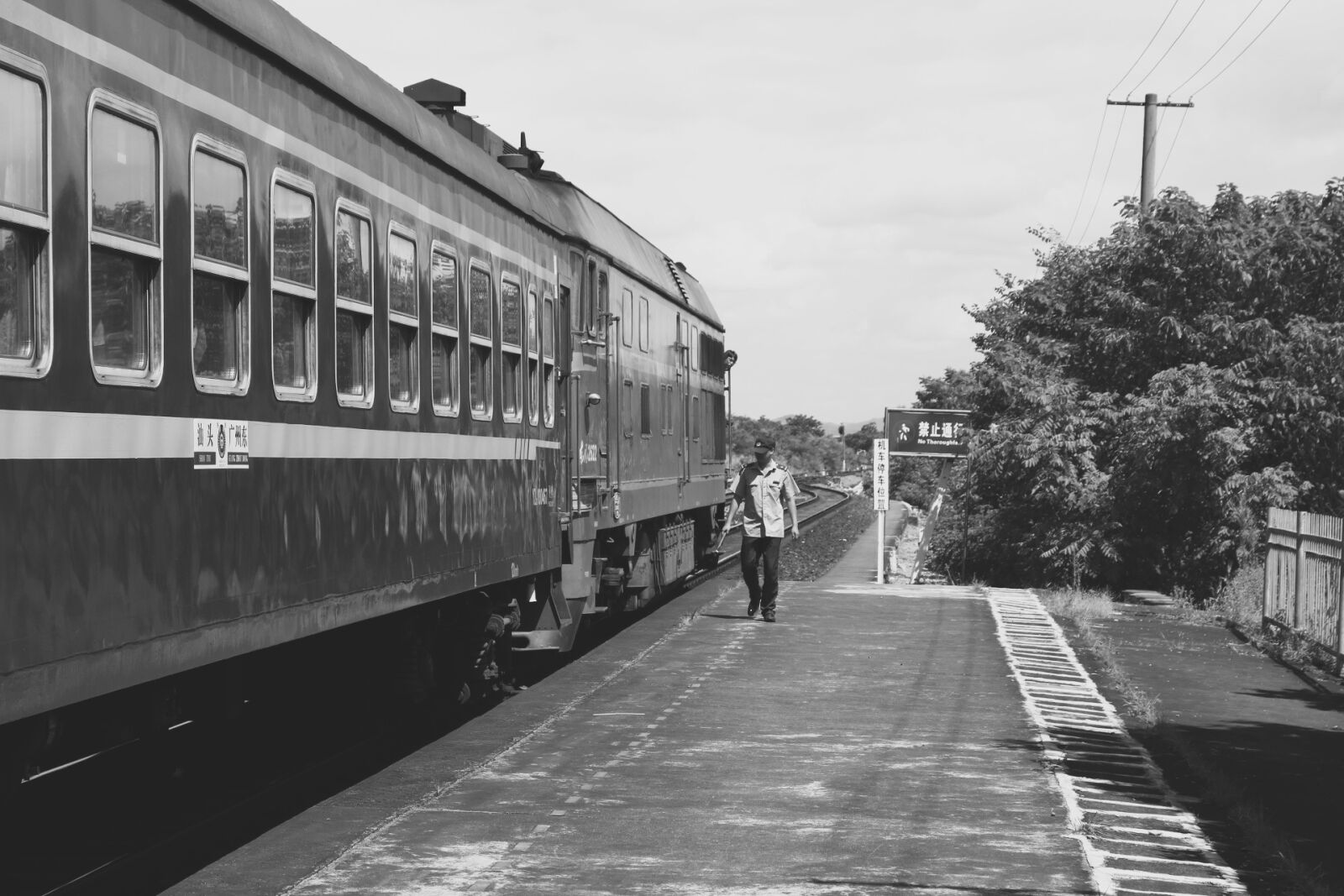Canon EOS 750D (EOS Rebel T6i / EOS Kiss X8i) sample photo. Train, black and white photography