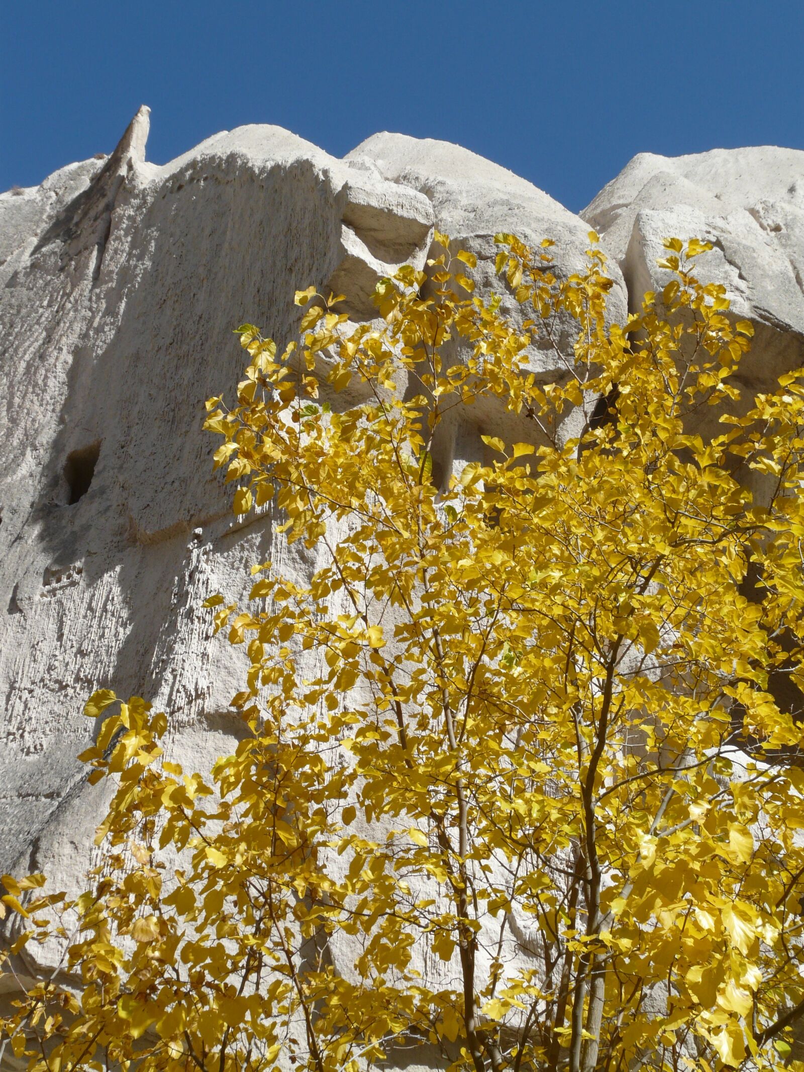 Panasonic DMC-FZ18 sample photo. Valley of roses, cappadocia photography