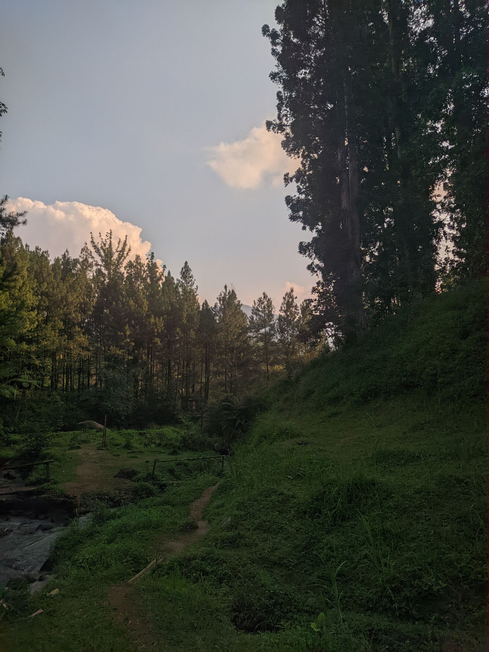 Xiaomi Redmi Note 8 sample photo